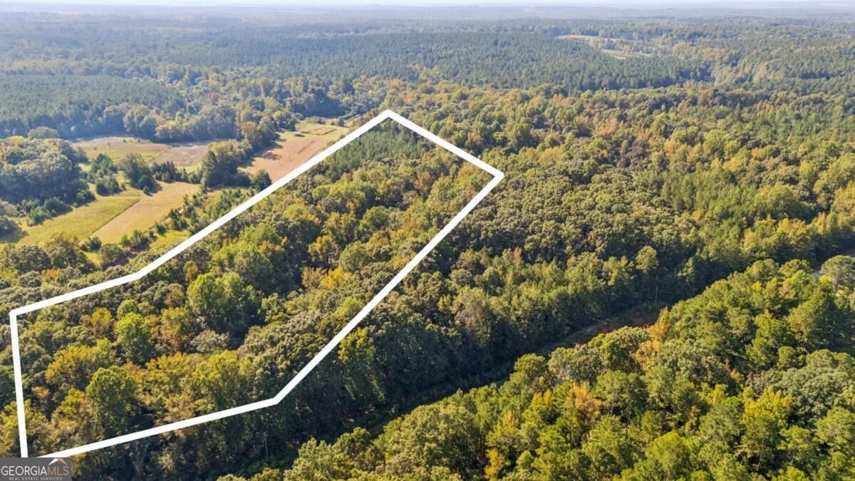 0 Elberton Road Carlton GA 30627