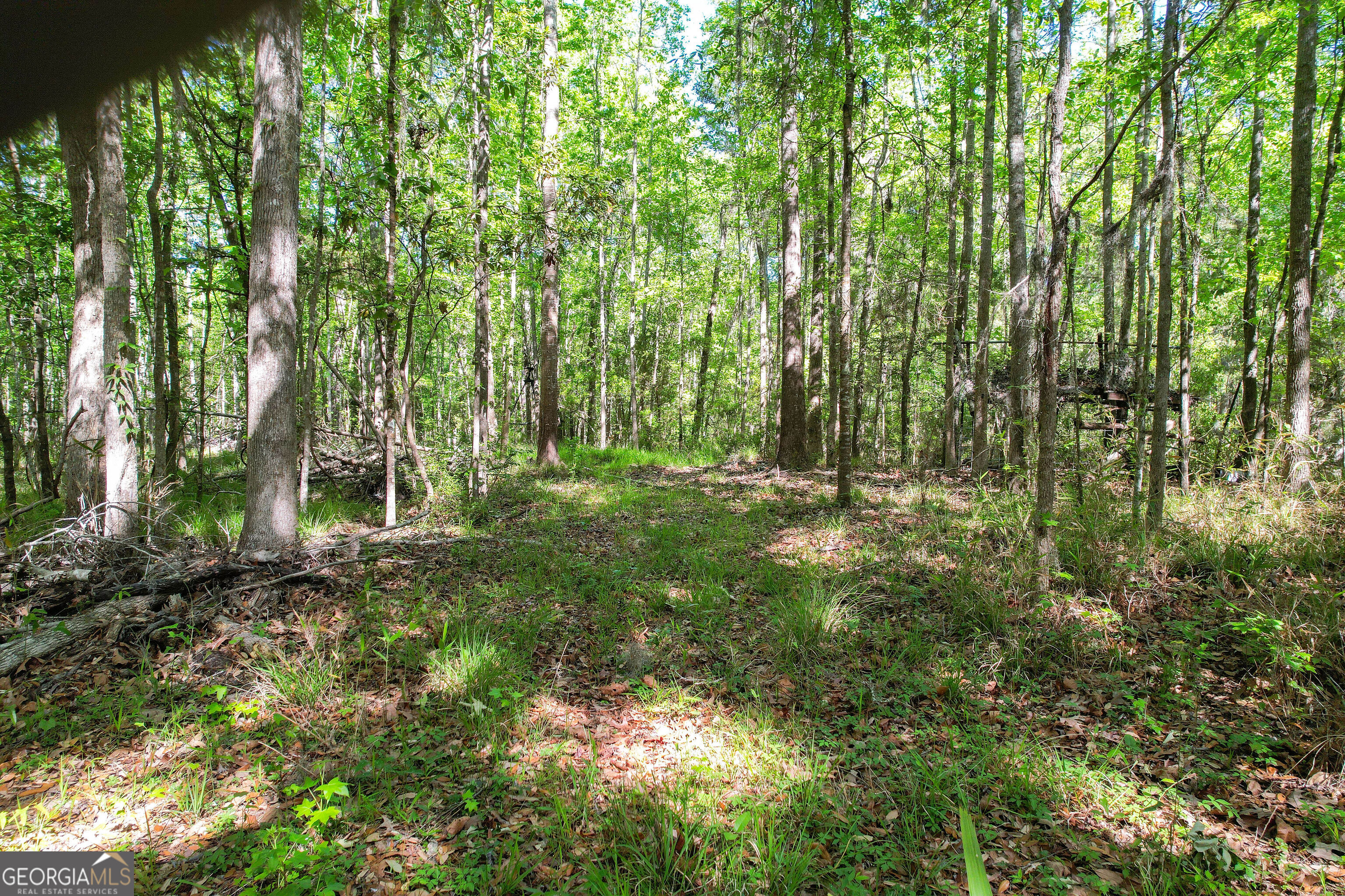0 Cay Creek Road Midway GA 31320