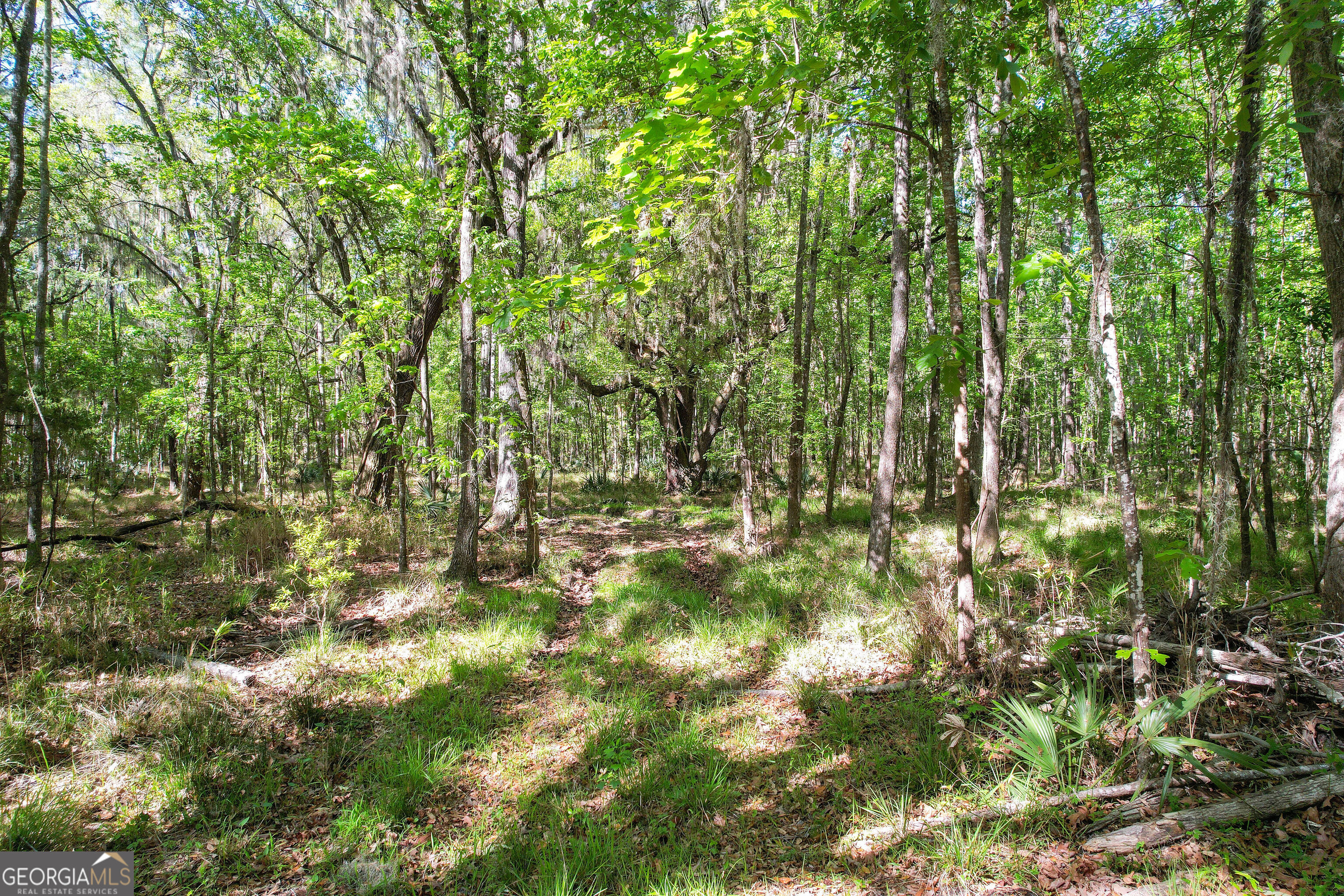 0 Cay Creek Road Midway GA 31320
