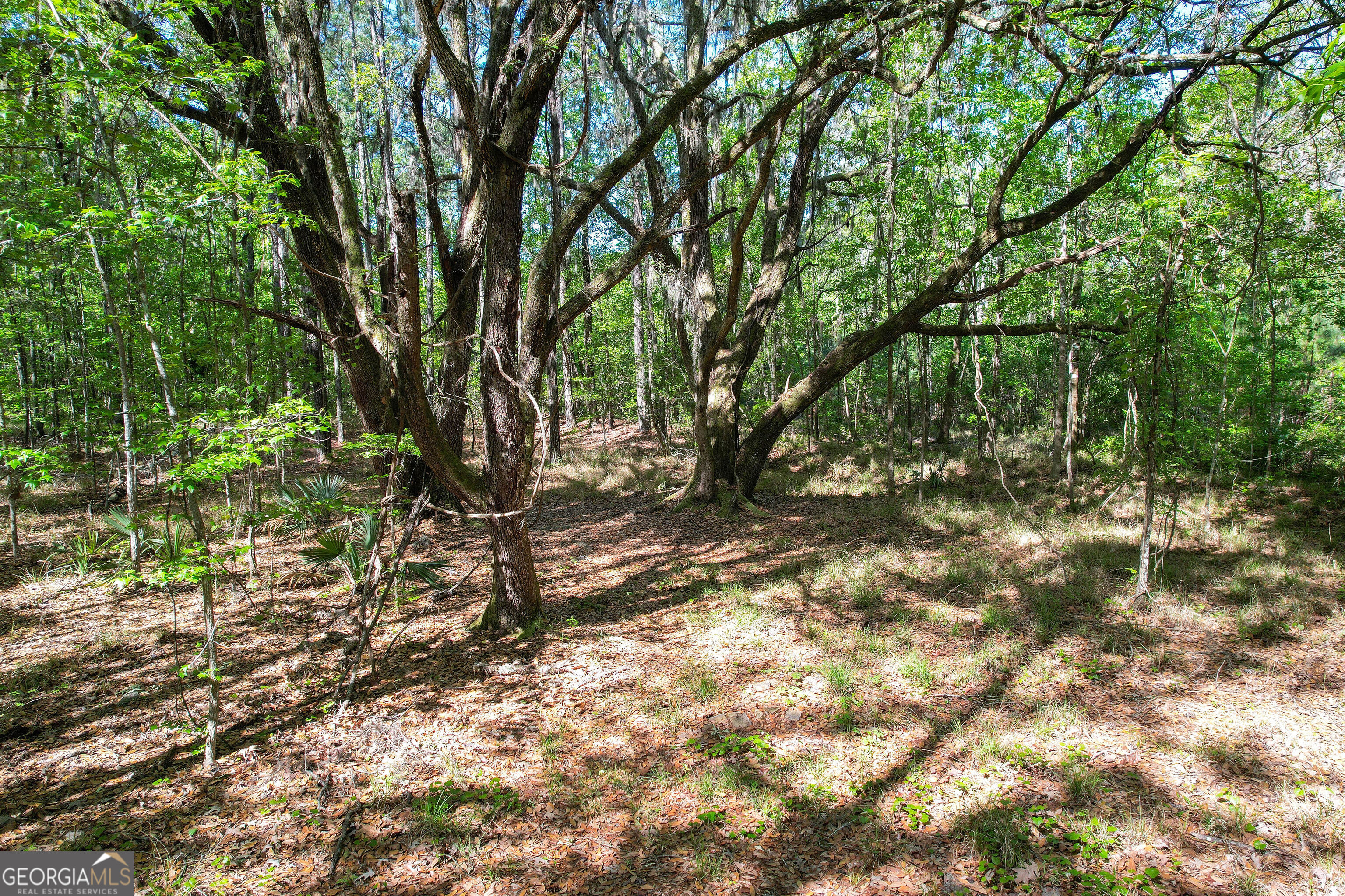 0 Cay Creek Road Midway GA 31320