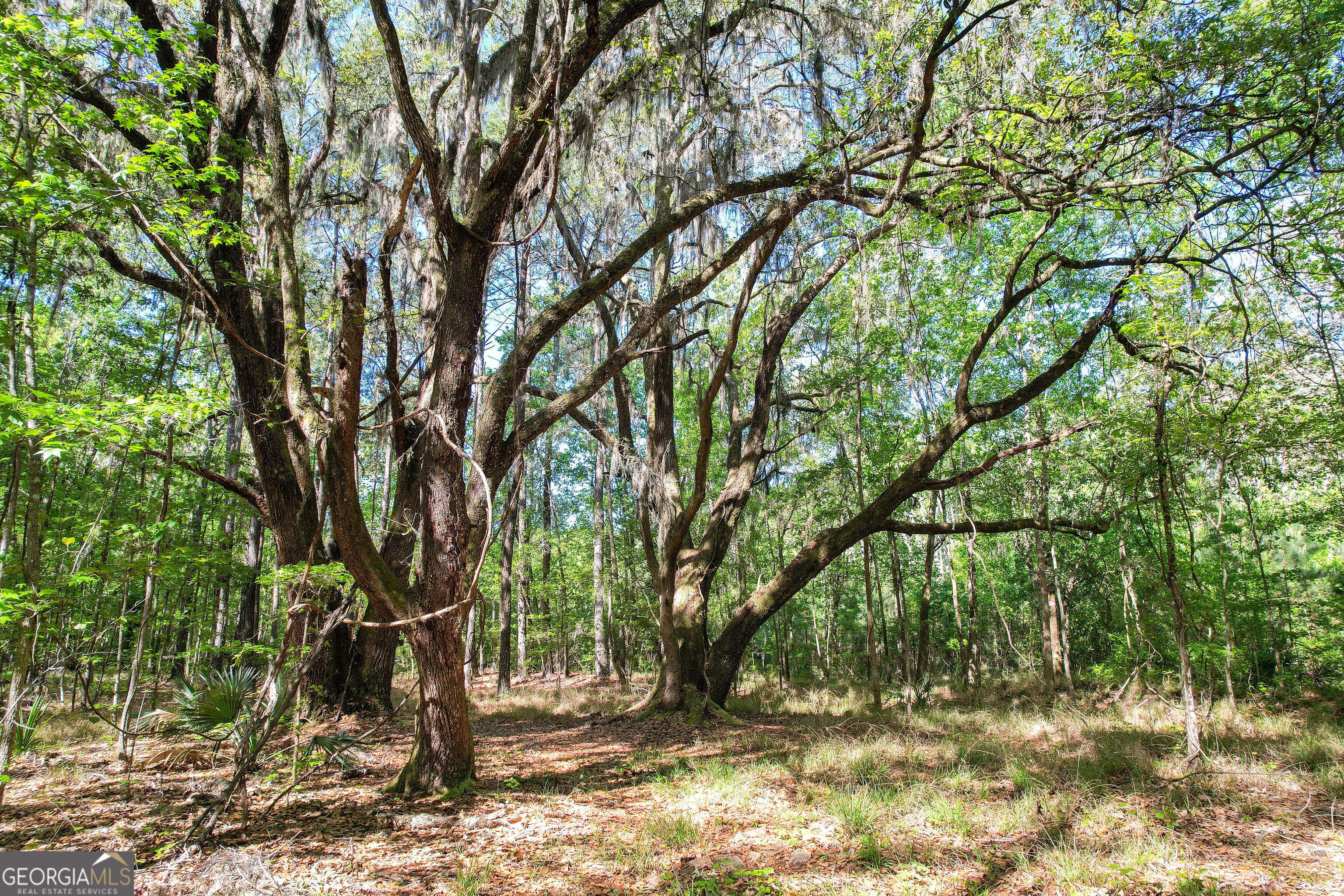 0 Cay Creek Road Midway GA 31320