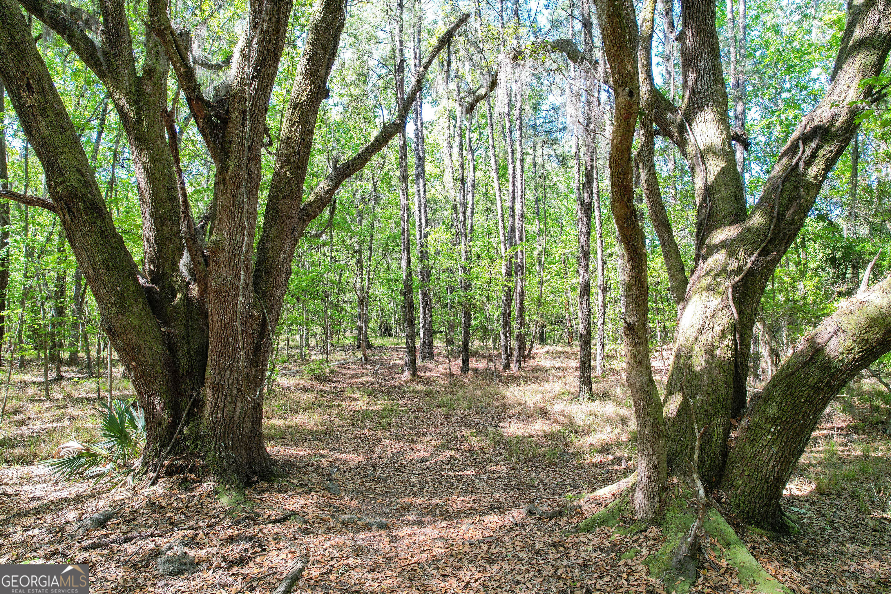 0 Cay Creek Road Midway GA 31320
