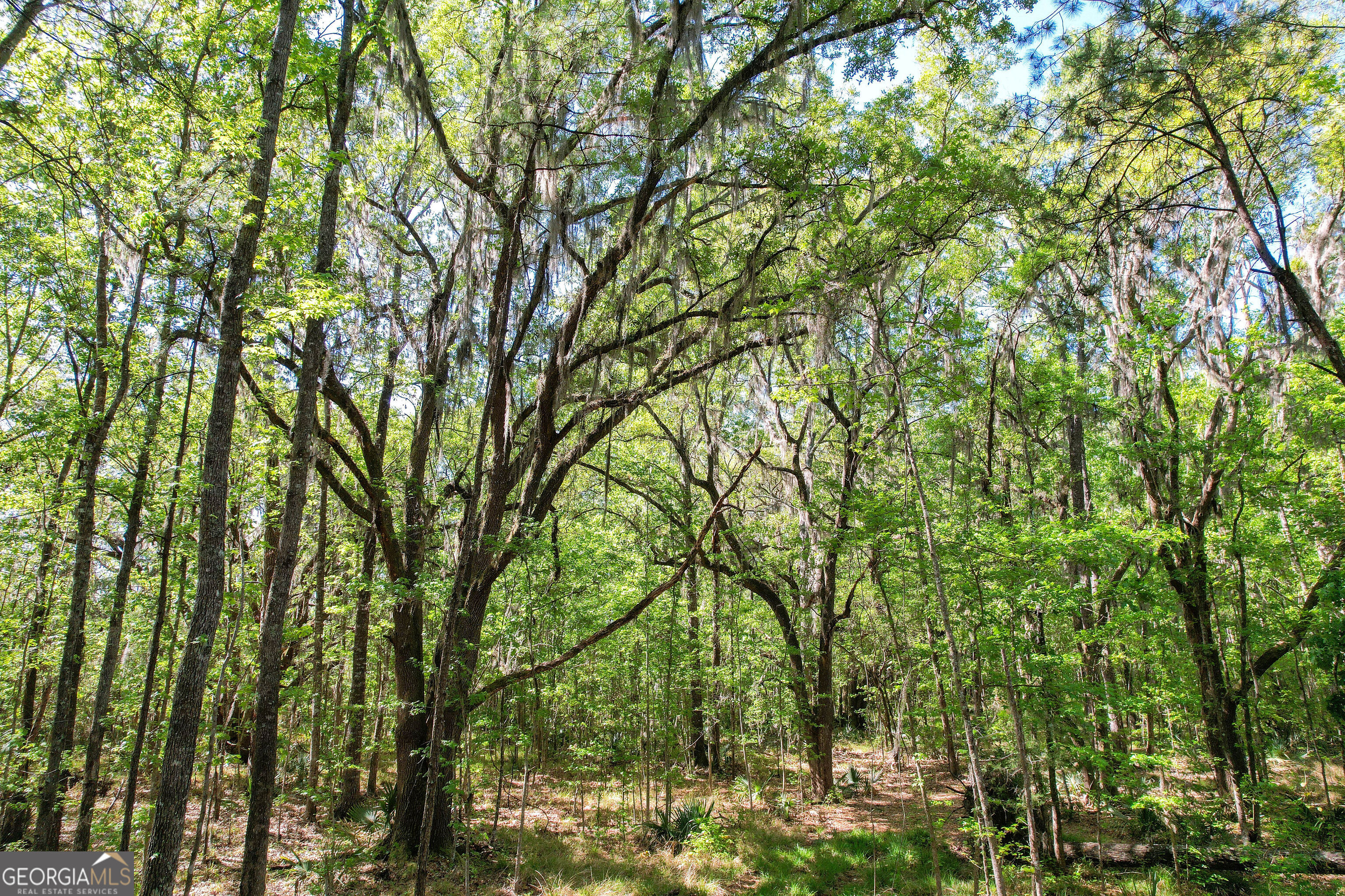 0 Cay Creek Road Midway GA 31320