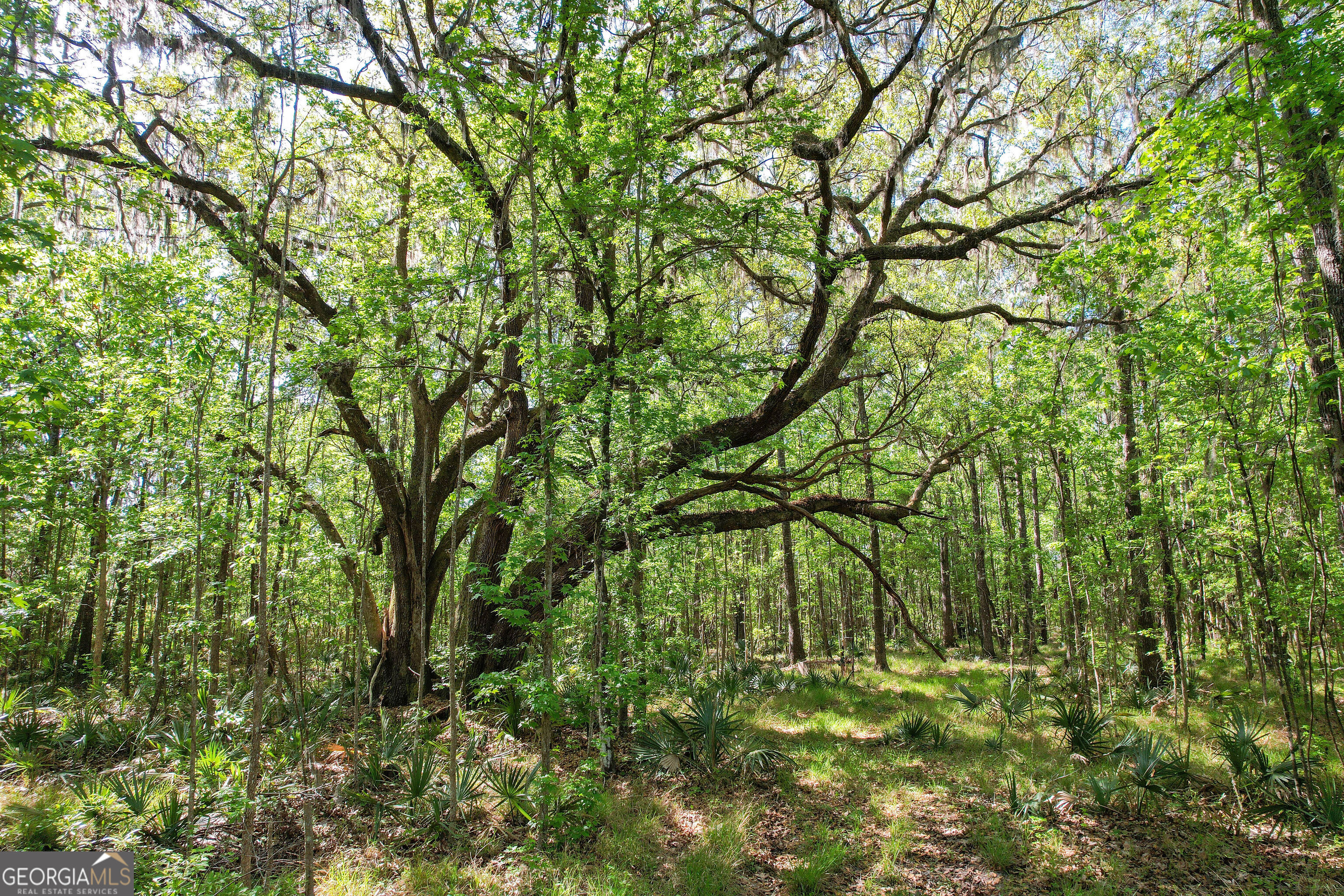 0 Cay Creek Road Midway GA 31320