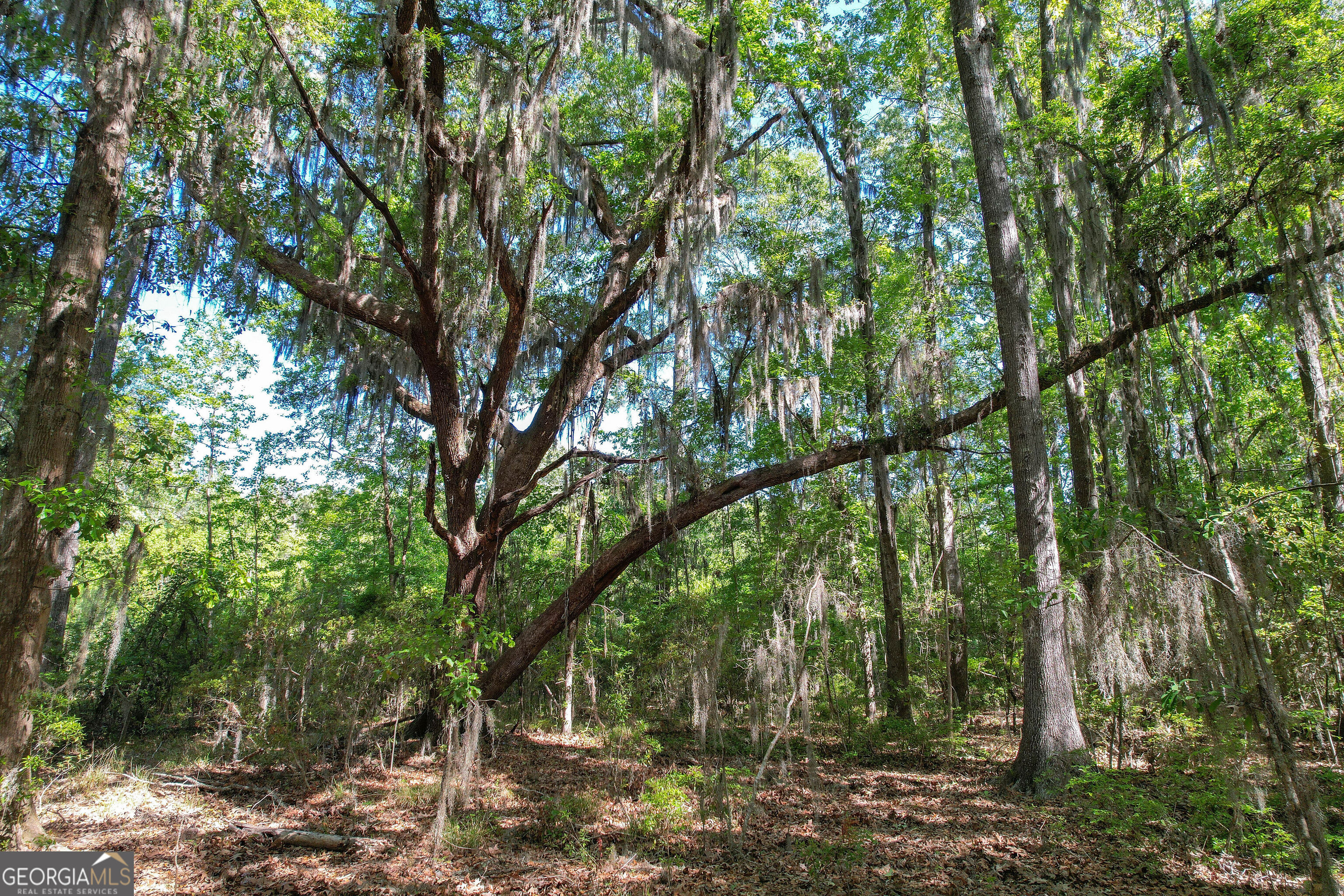 0 Cay Creek Road Midway GA 31320