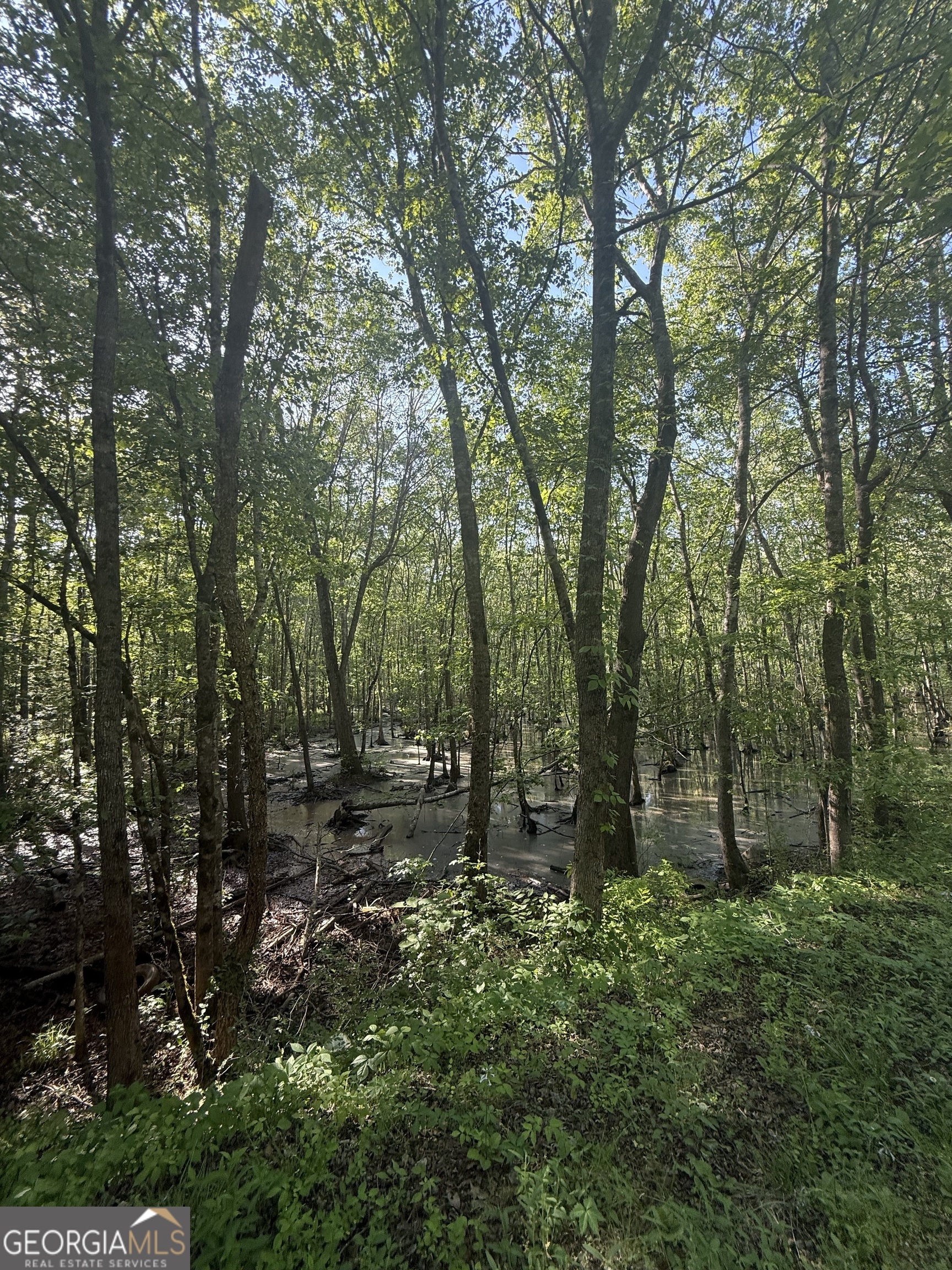 0 Post Road Shady Dale GA 31085