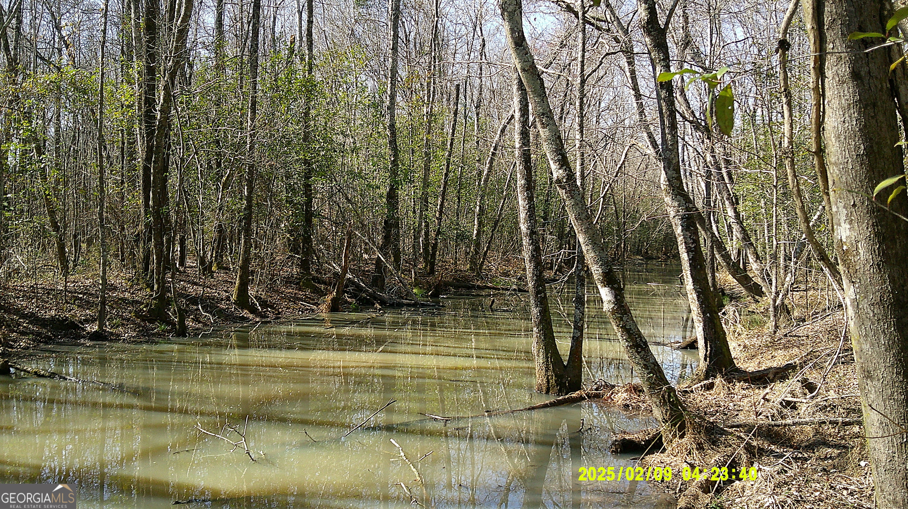 0 Elko Road Unadilla GA 31091