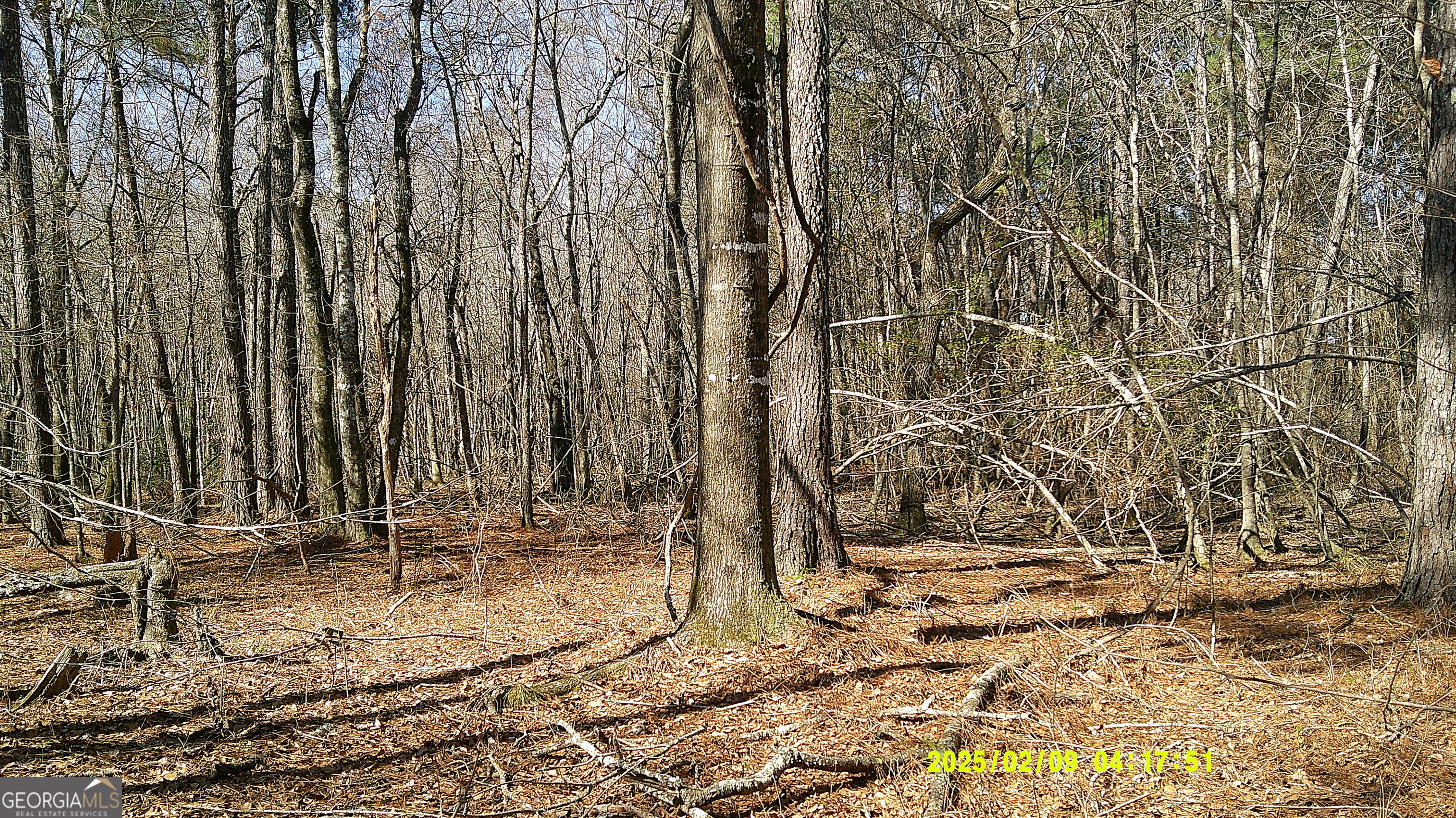 0 Elko Road Unadilla GA 31091