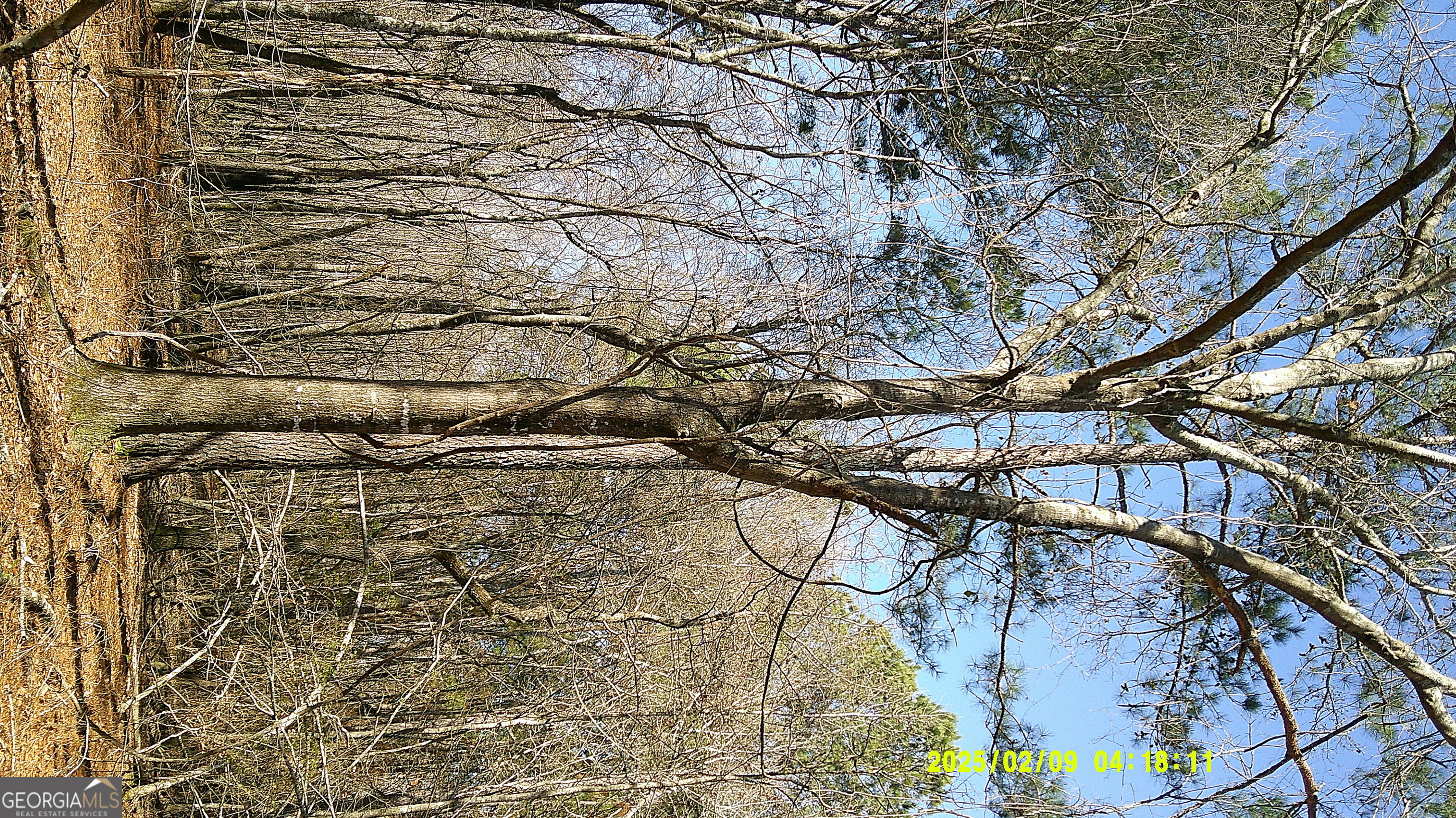 0 Elko Road Unadilla GA 31091