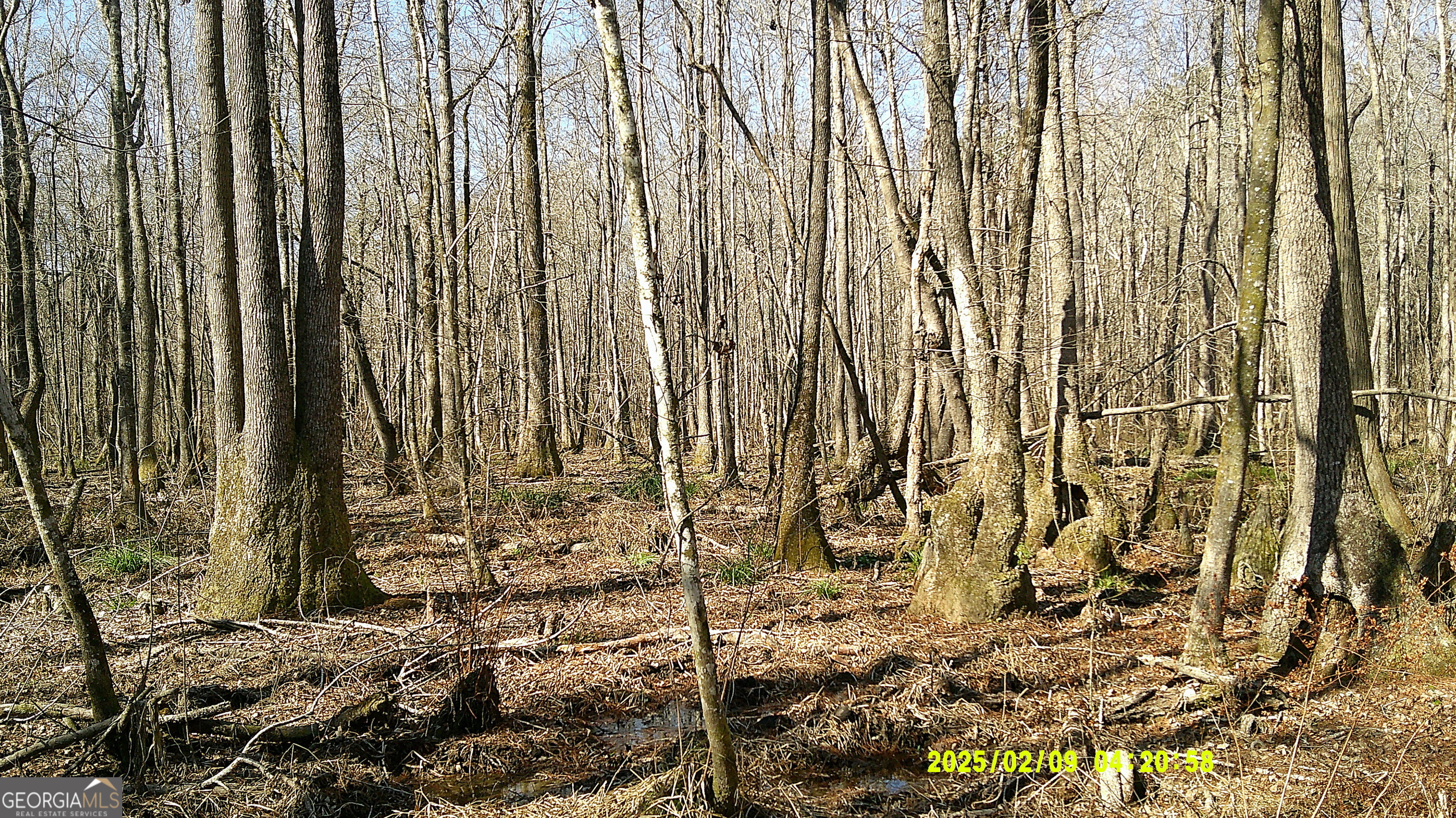 0 Elko Road Unadilla GA 31091