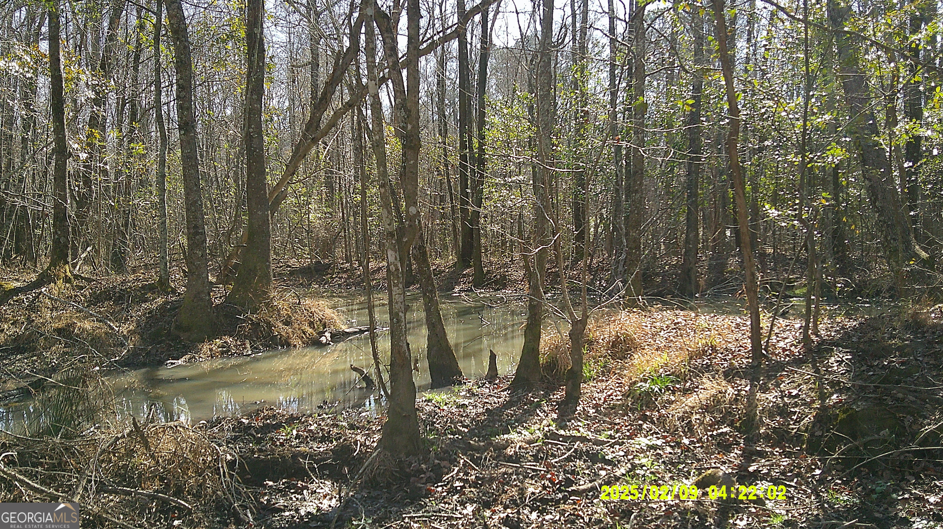 0 Elko Road Unadilla GA 31091