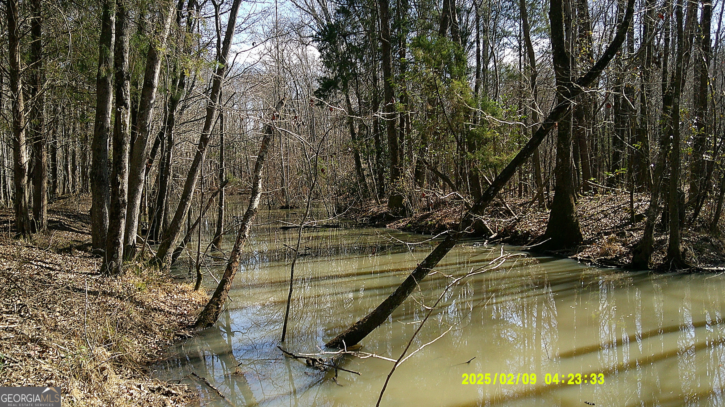 0 Elko Road Unadilla GA 31091