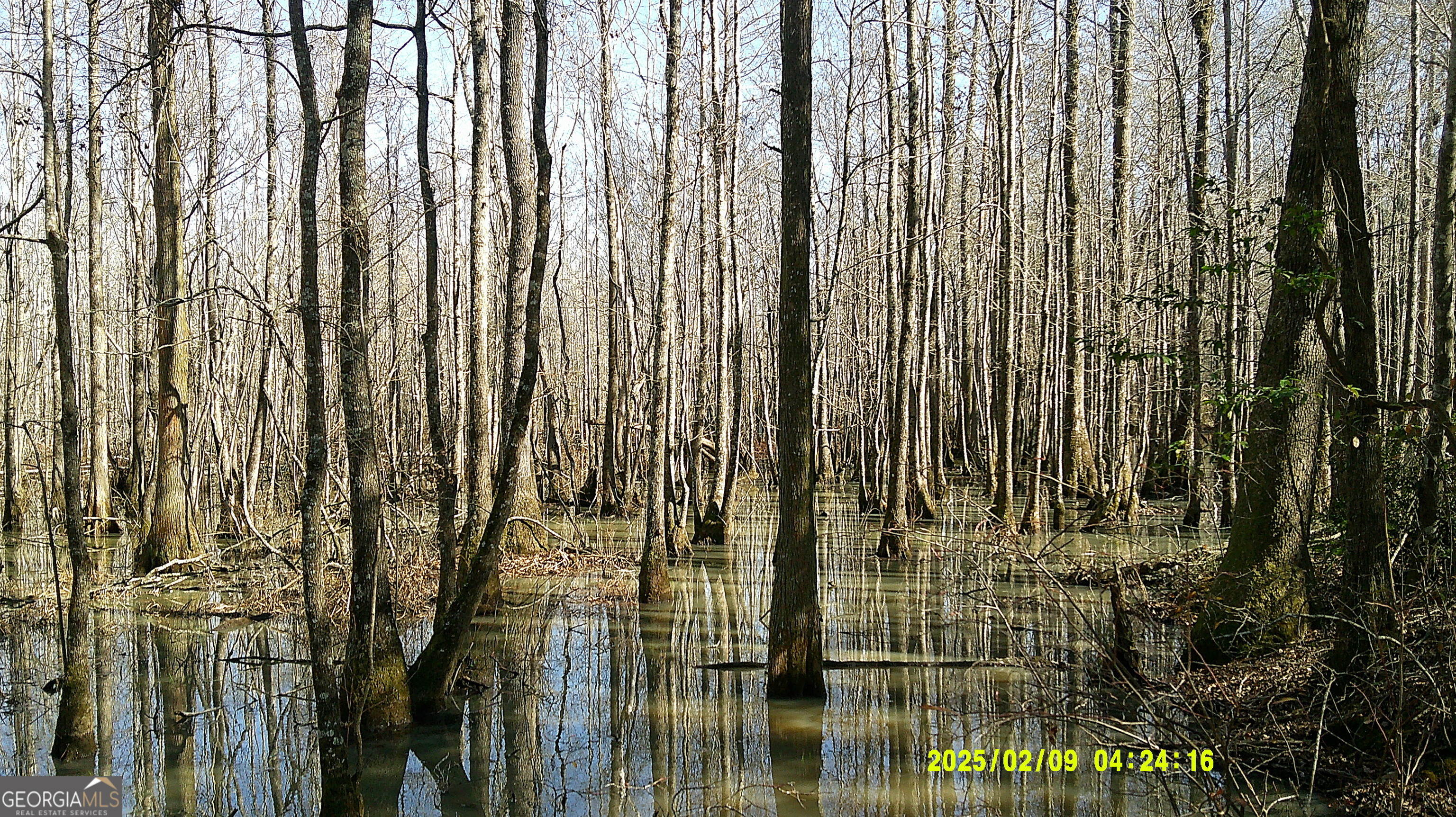 0 Elko Road Unadilla GA 31091