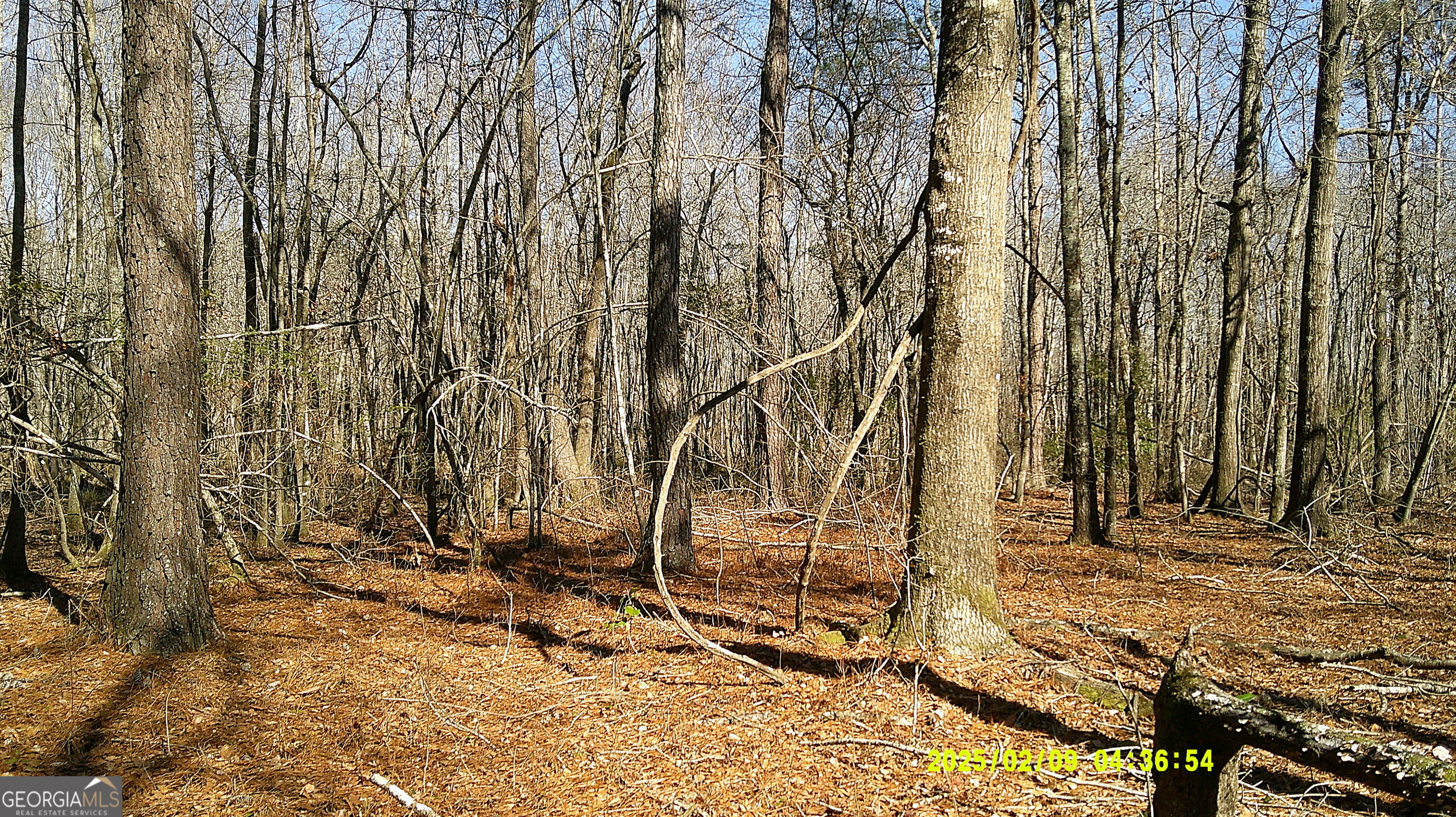 0 Elko Road Unadilla GA 31091