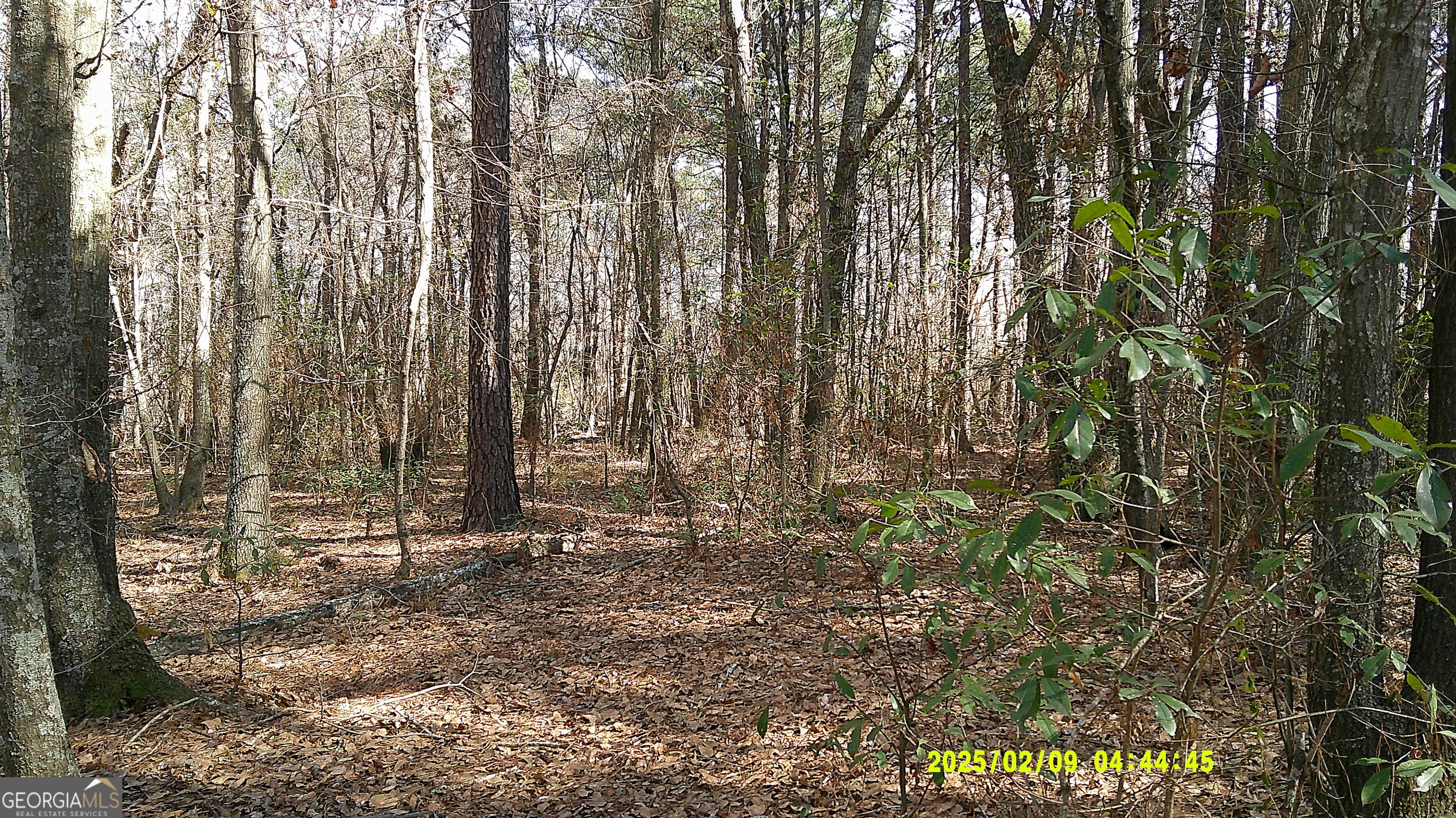 0 Elko Road Unadilla GA 31091