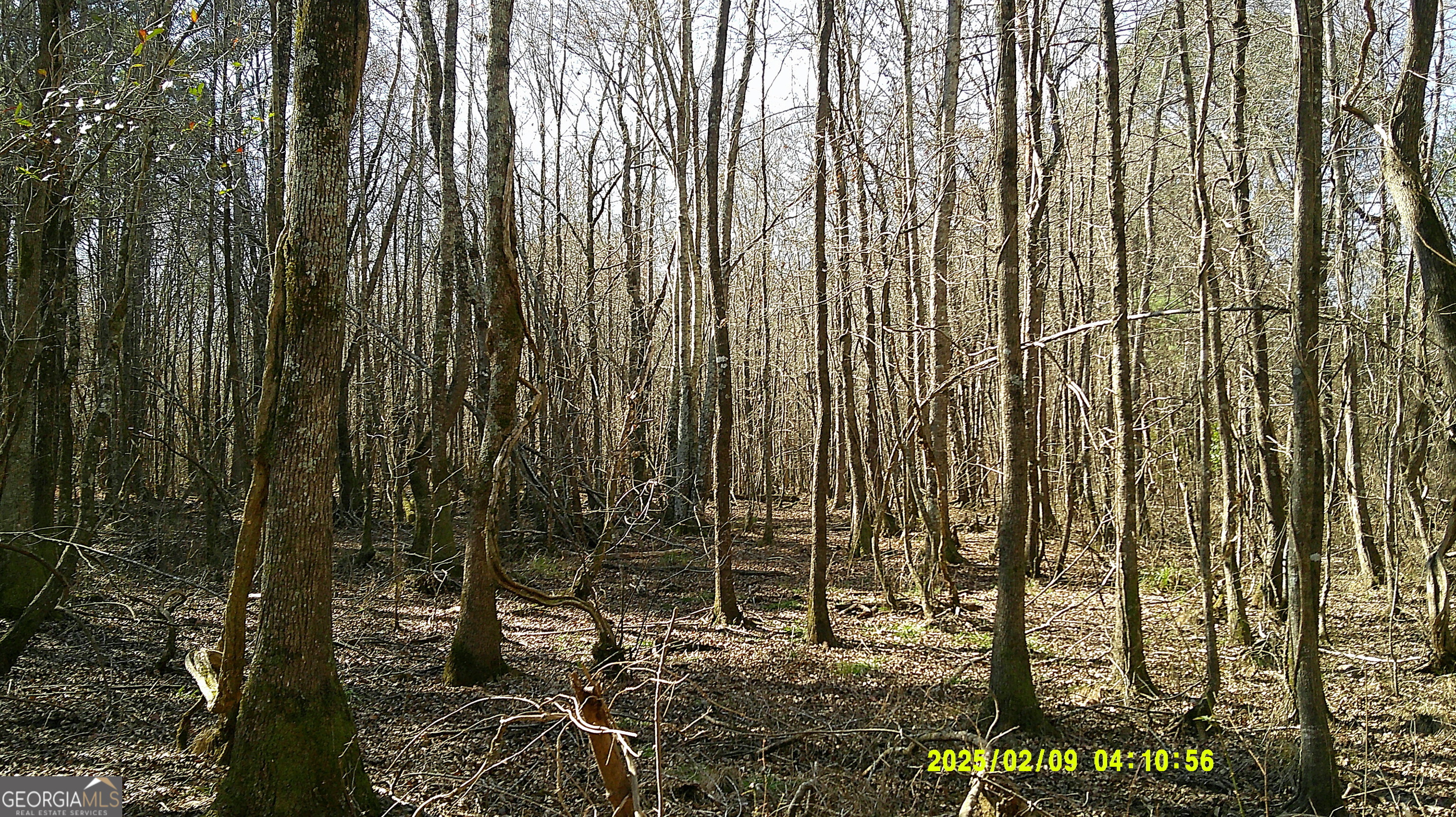 0 Elko Road Unadilla GA 31091