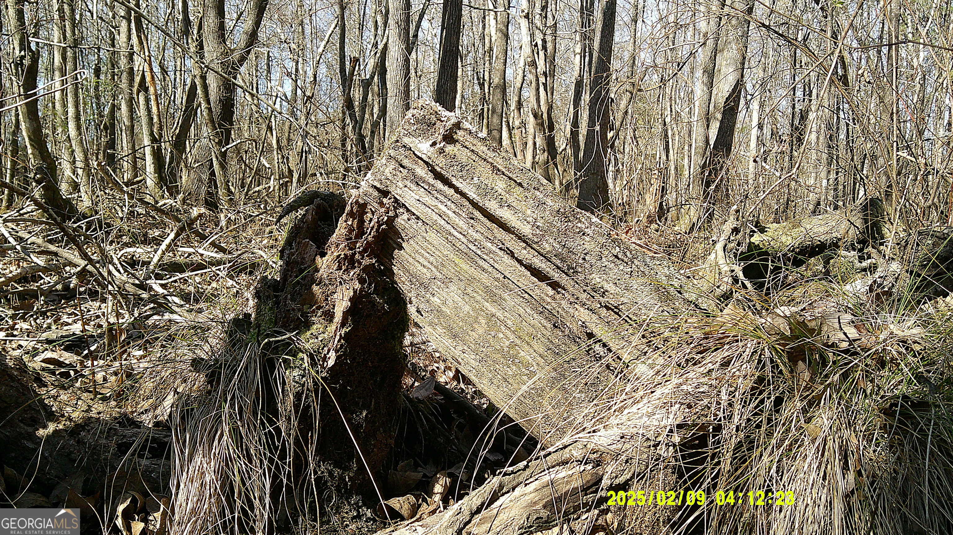 0 Elko Road Unadilla GA 31091
