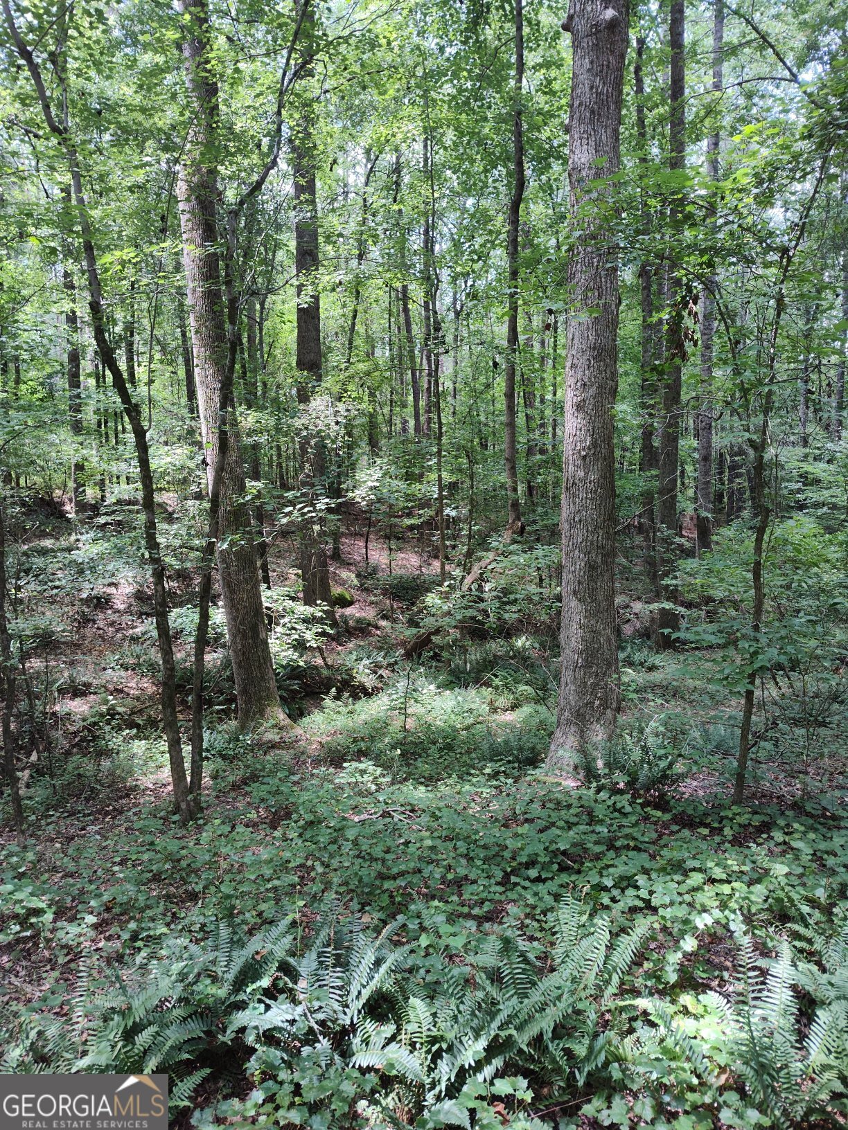 2211 Indian Hill Road Elberton GA 30635