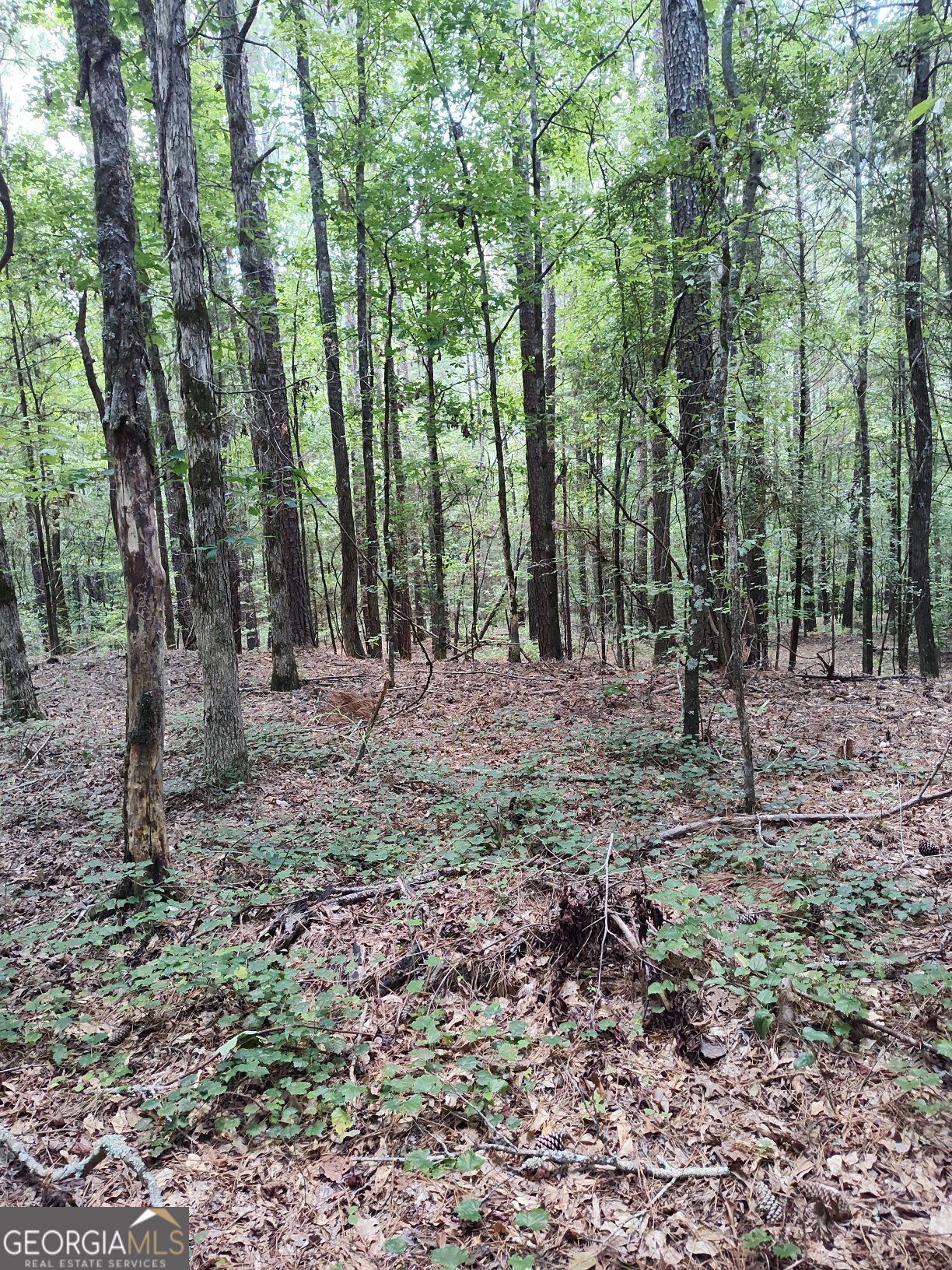 2211 Indian Hill Road Elberton GA 30635