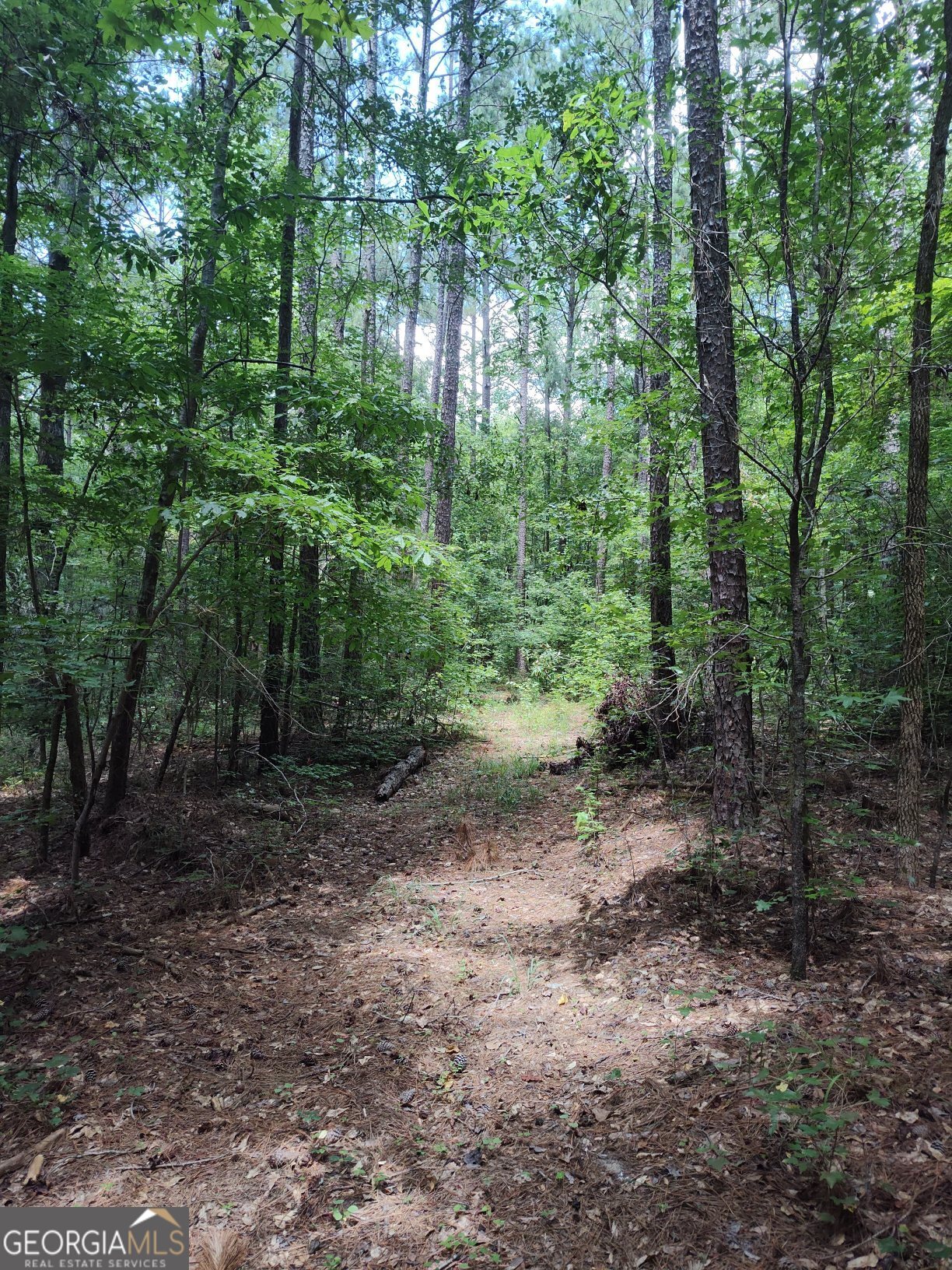 2211 Indian Hill Road Elberton GA 30635