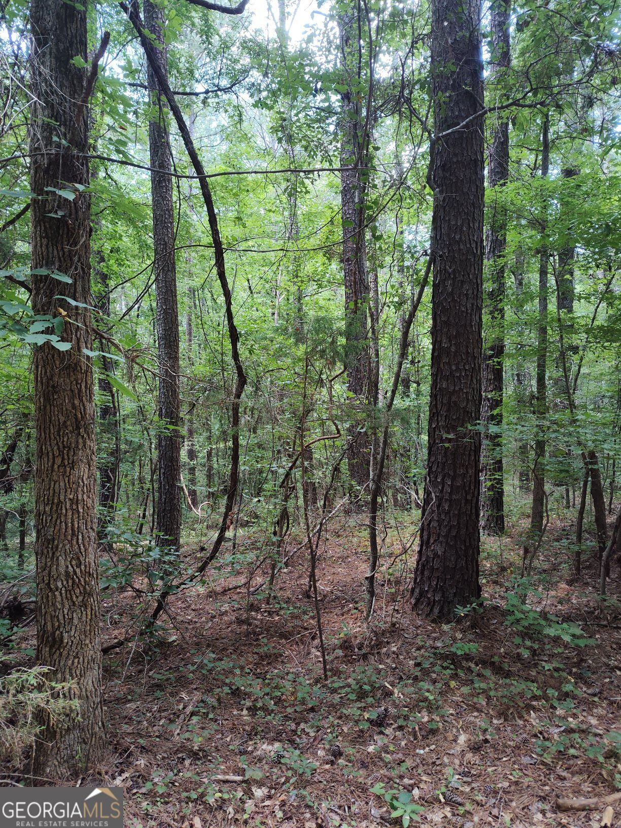 2211 Indian Hill Road Elberton GA 30635