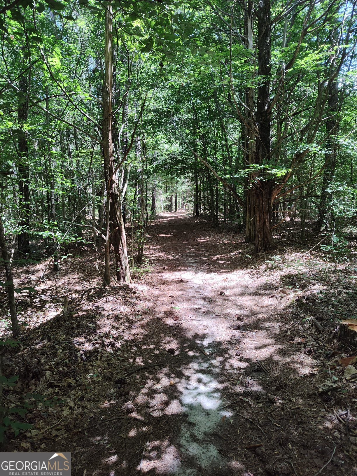 2211 Indian Hill Road Elberton GA 30635