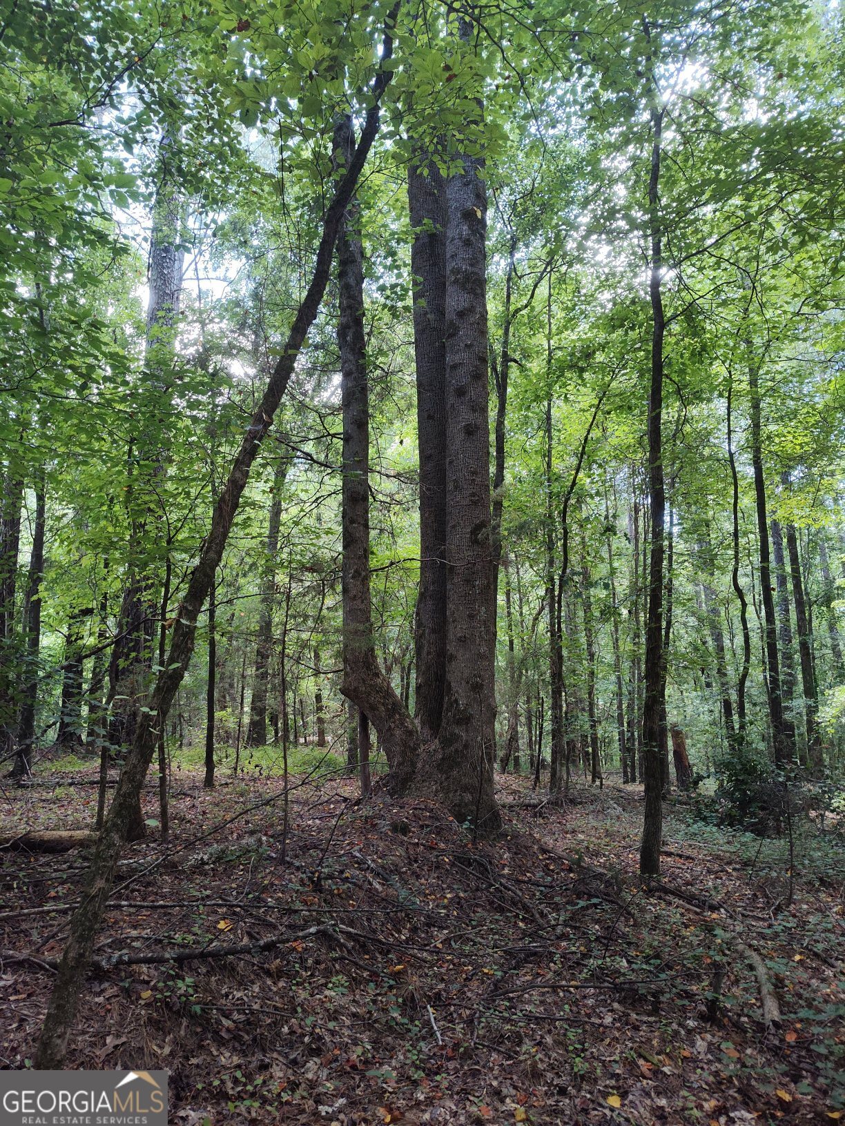 2211 Indian Hill Road Elberton GA 30635