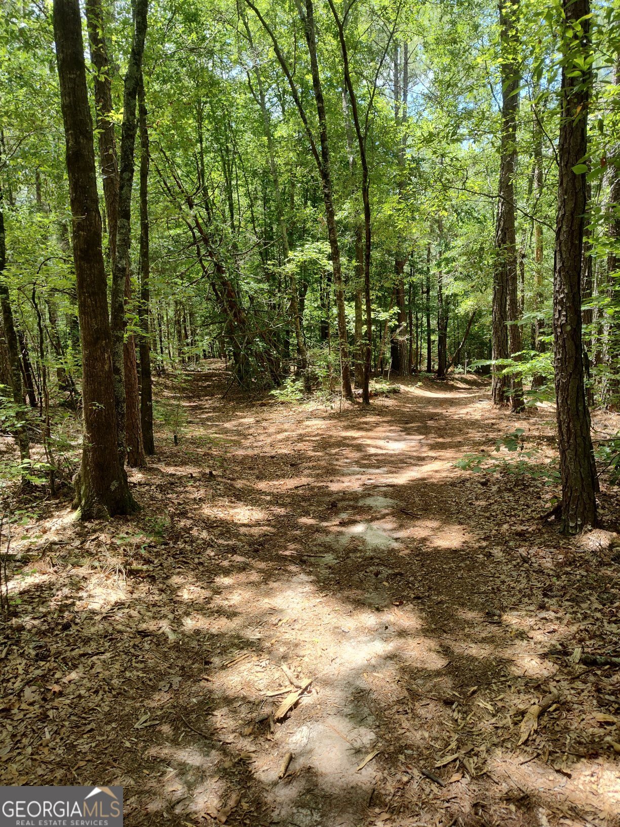 2211 Indian Hill Road Elberton GA 30635