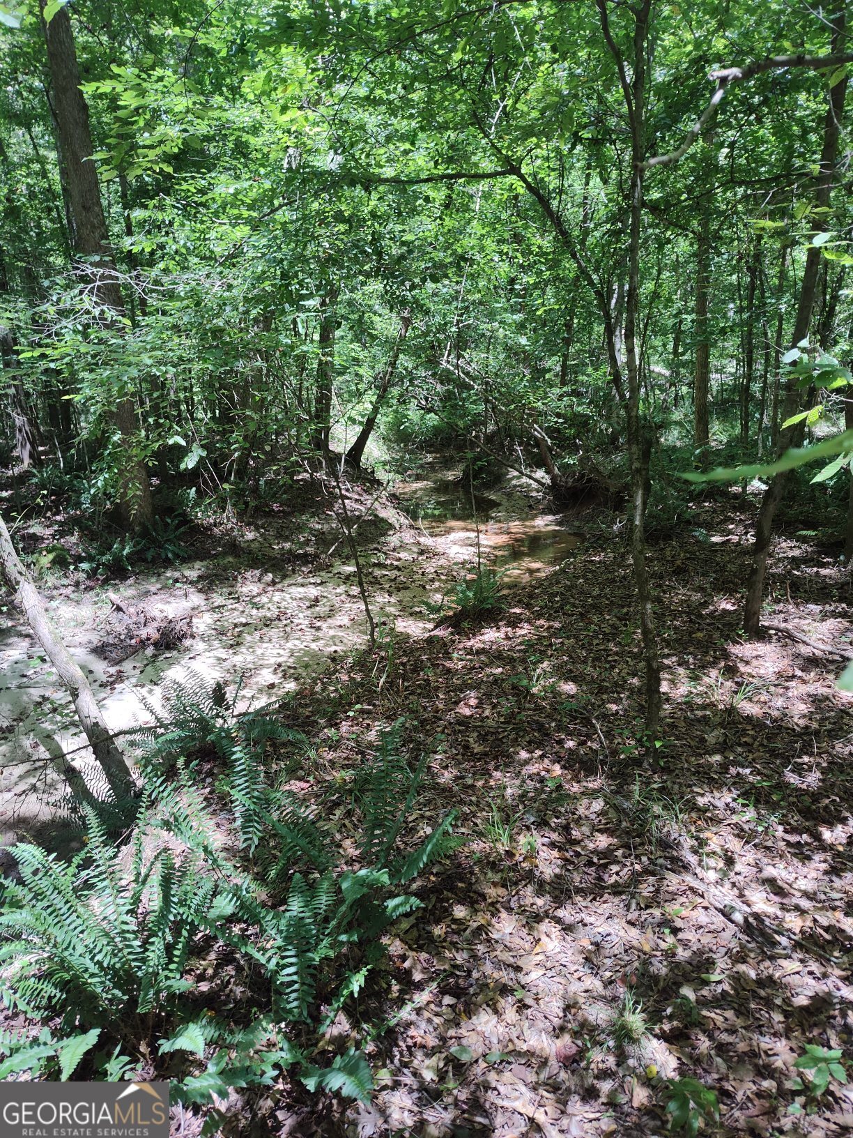 2211 Indian Hill Road Elberton GA 30635