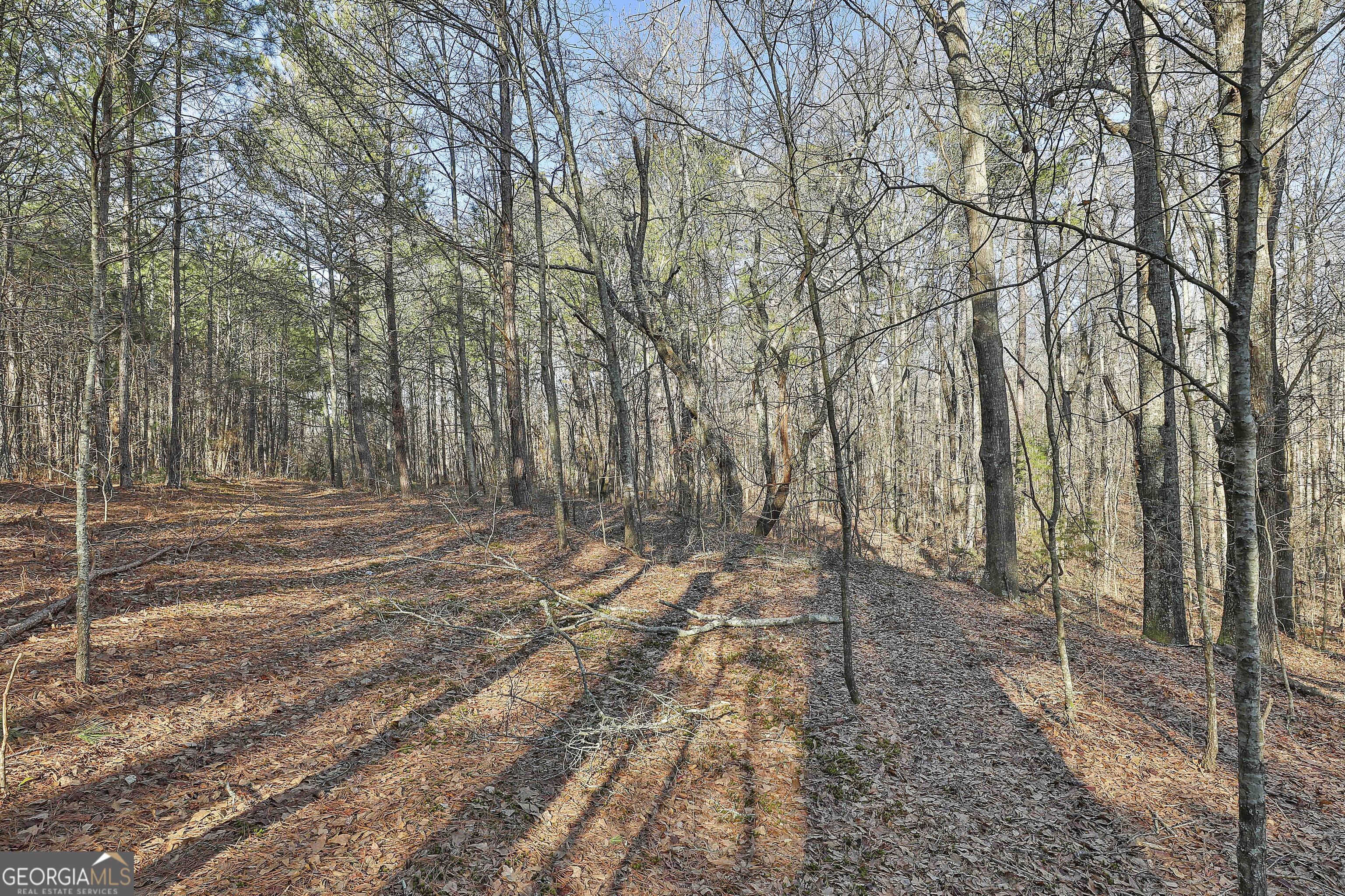 1870 Highway 92 N Fayetteville GA 30214