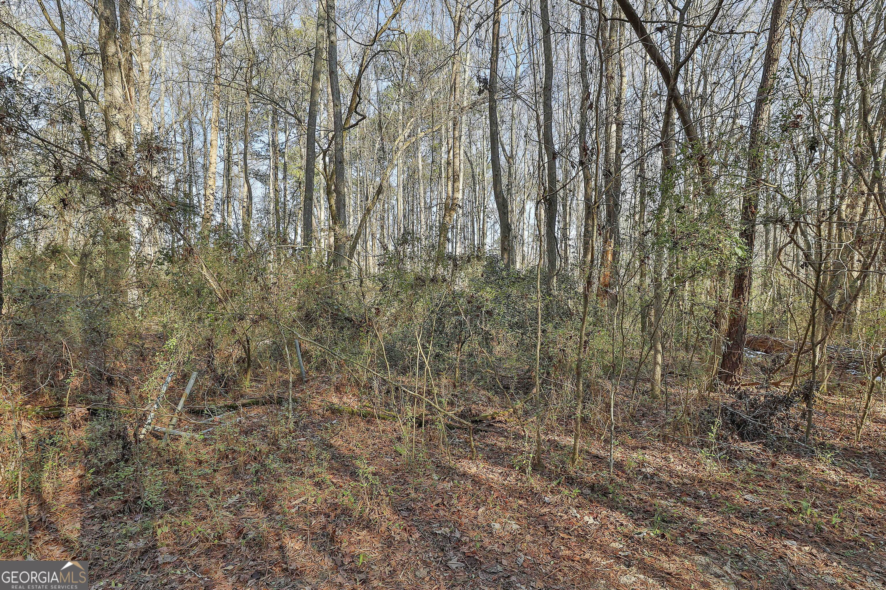1870 Highway 92 N Fayetteville GA 30214