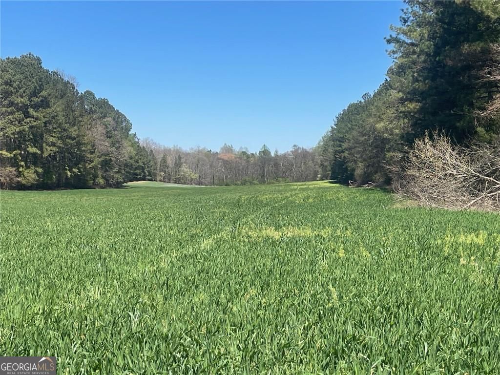 0-A Cleveland Highway Cohutta GA 30710