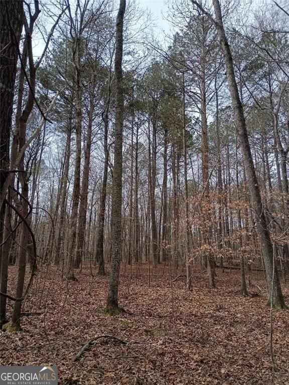 0-A Cleveland Highway Cohutta GA 30710
