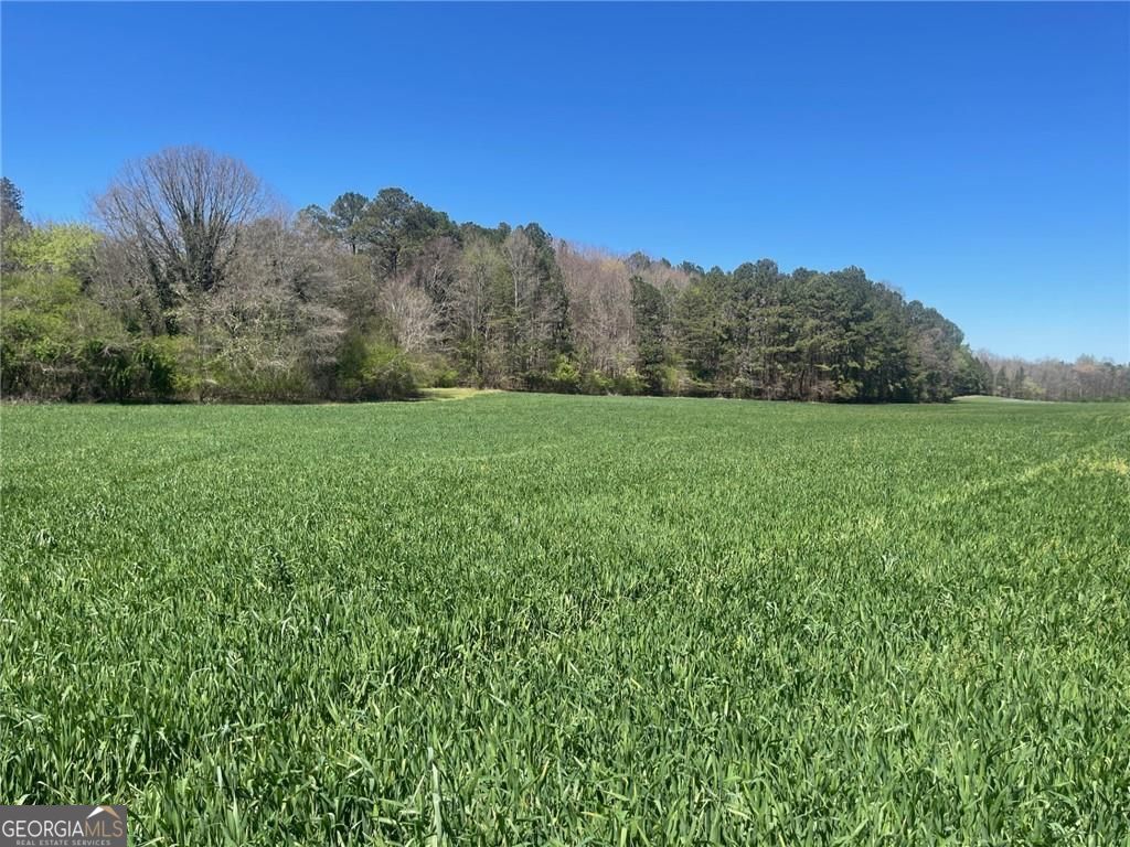 0-A Cleveland Highway Cohutta GA 30710