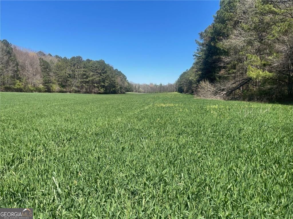 0-A Cleveland Highway Cohutta GA 30710