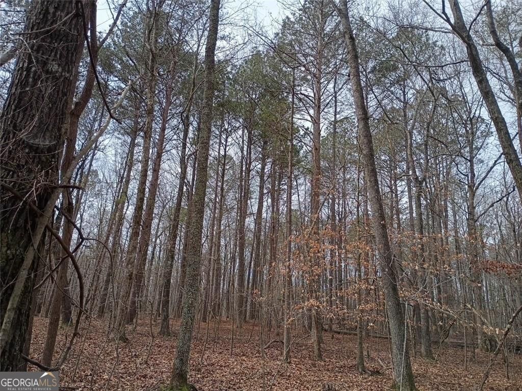 0-A Cleveland Highway Cohutta GA 30710