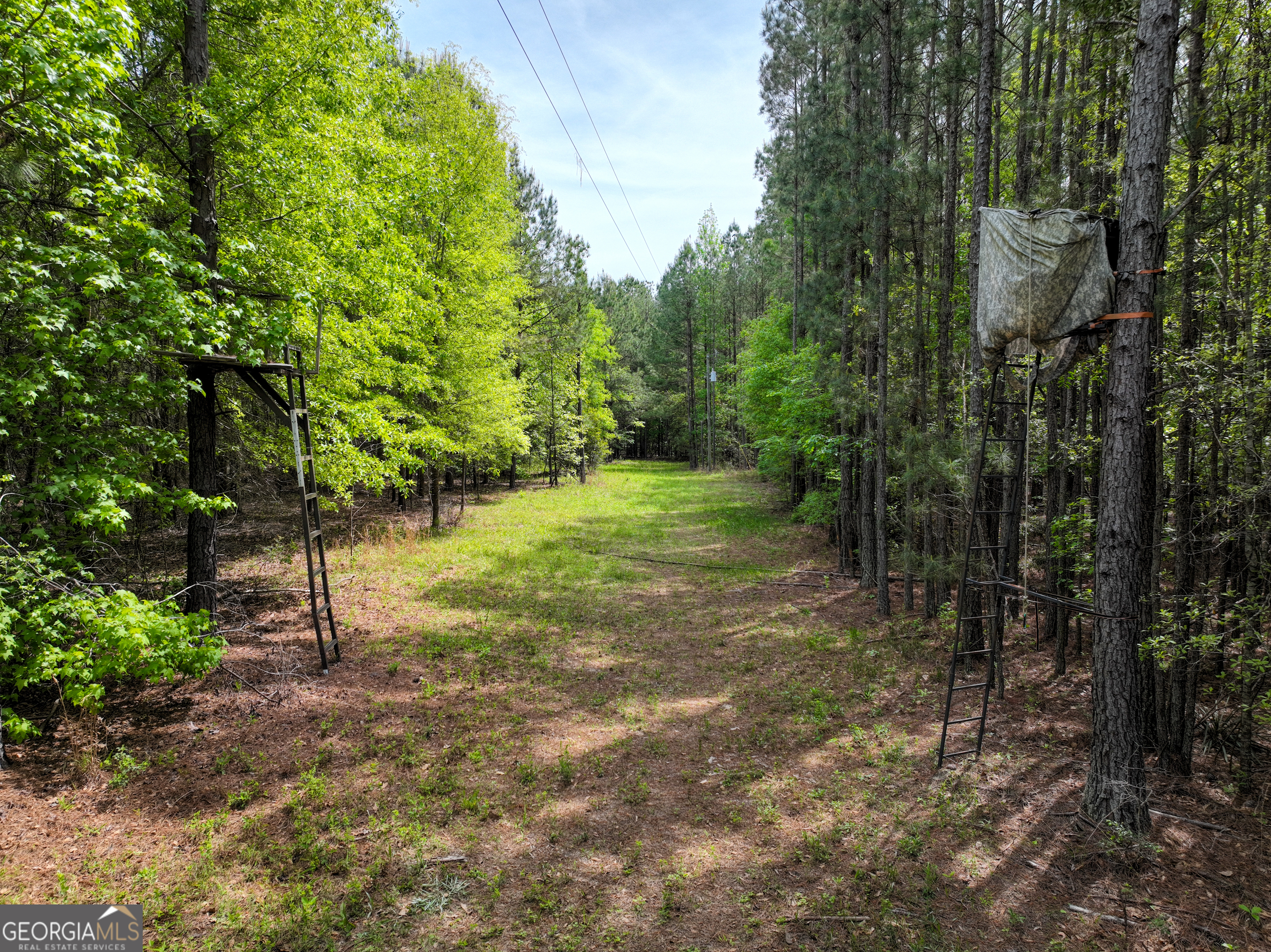 563 Bellhouse Road Gordon GA 31031