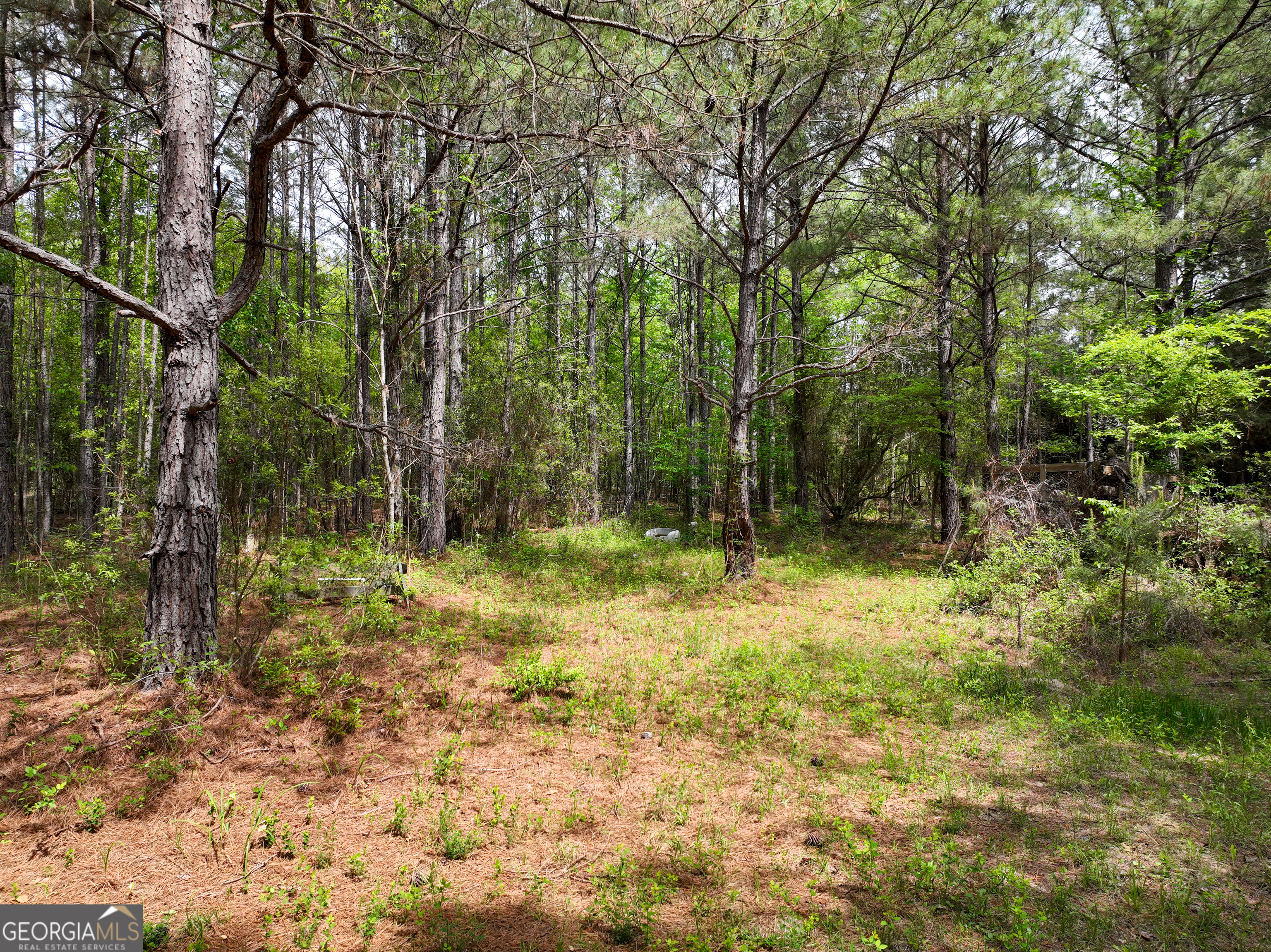 563 Bellhouse Road Gordon GA 31031