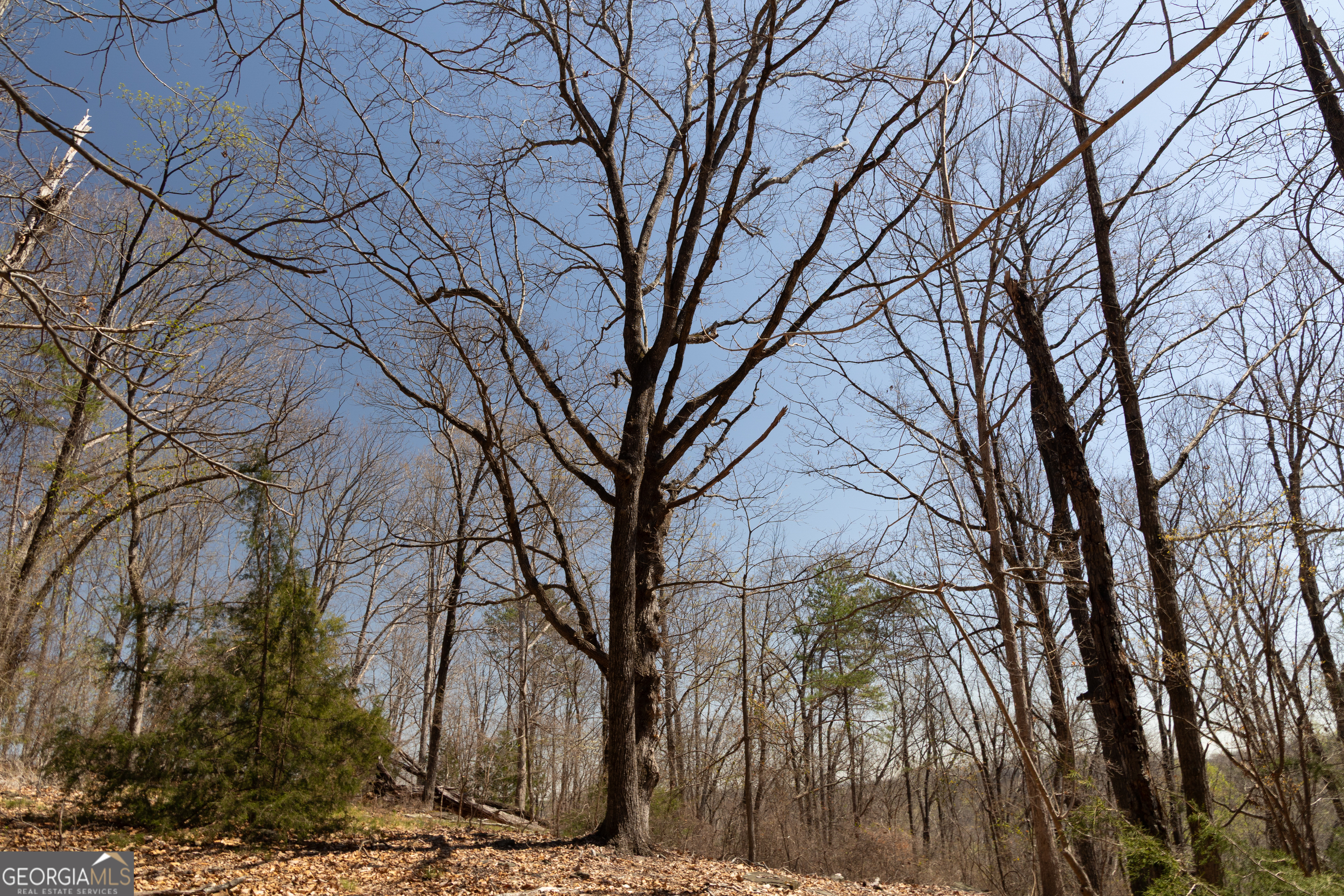 0 Soapstone Road Baldwin GA 30511