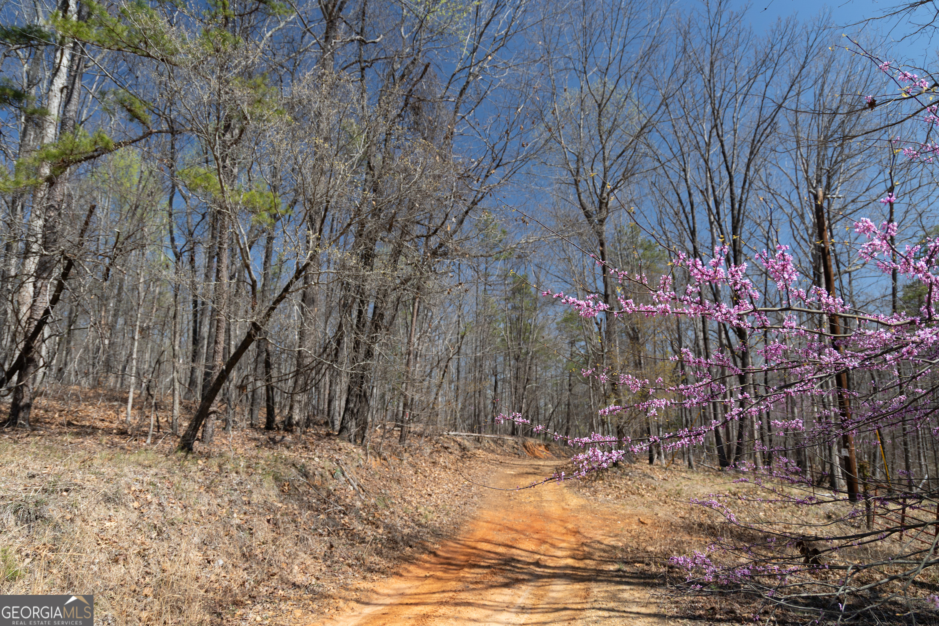 0 Soapstone Road Baldwin GA 30511