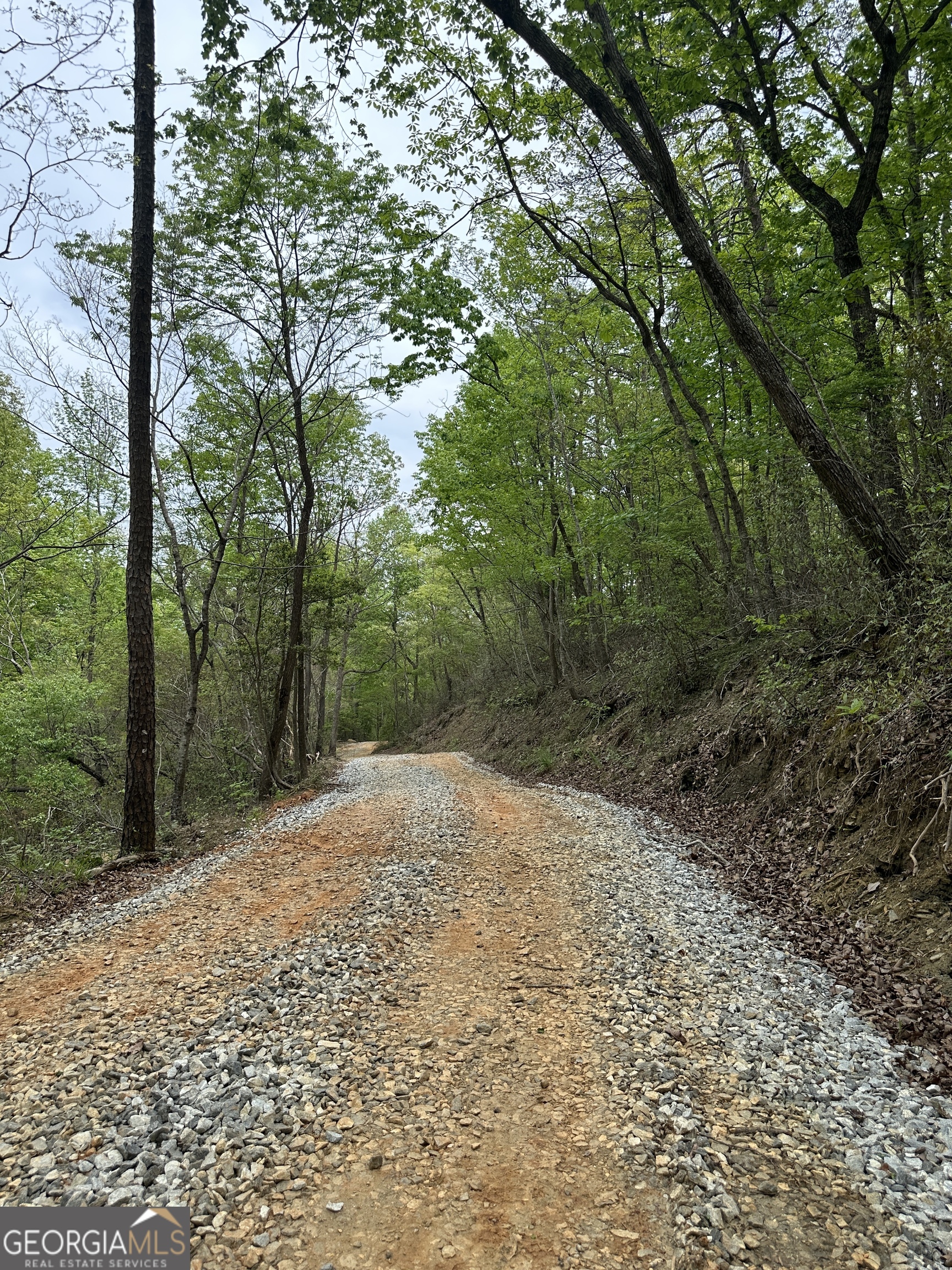 0 Soapstone Road Baldwin GA 30511