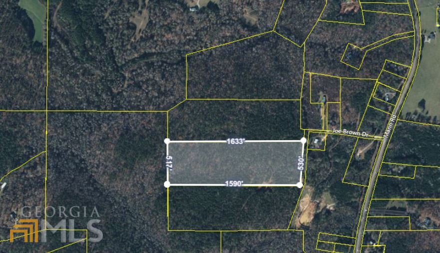0 Joe Brown Drive Shiloh GA 31826
