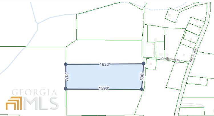 0 Joe Brown Drive Shiloh GA 31826