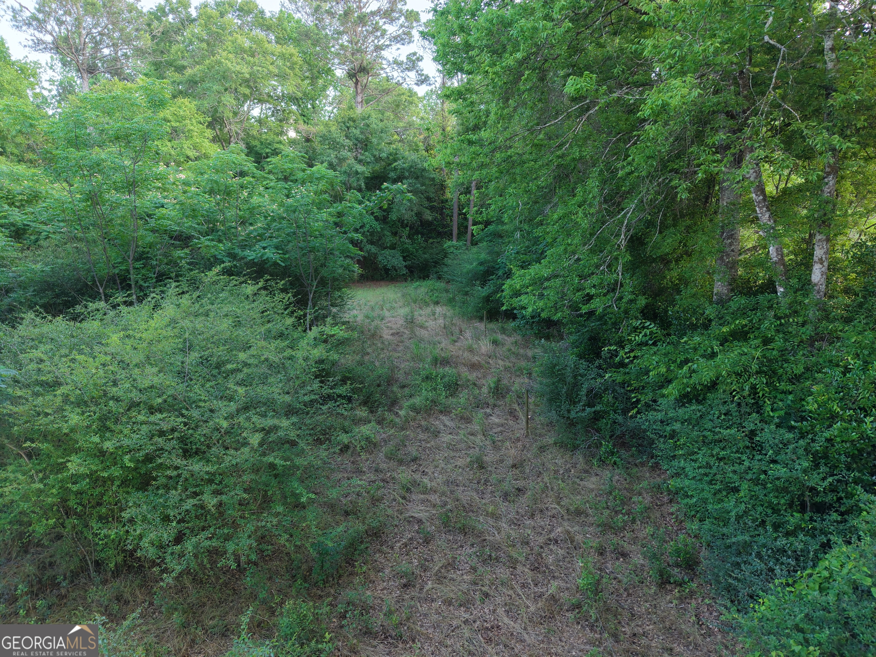 0 W Bluffton Road Bluffton GA 39824