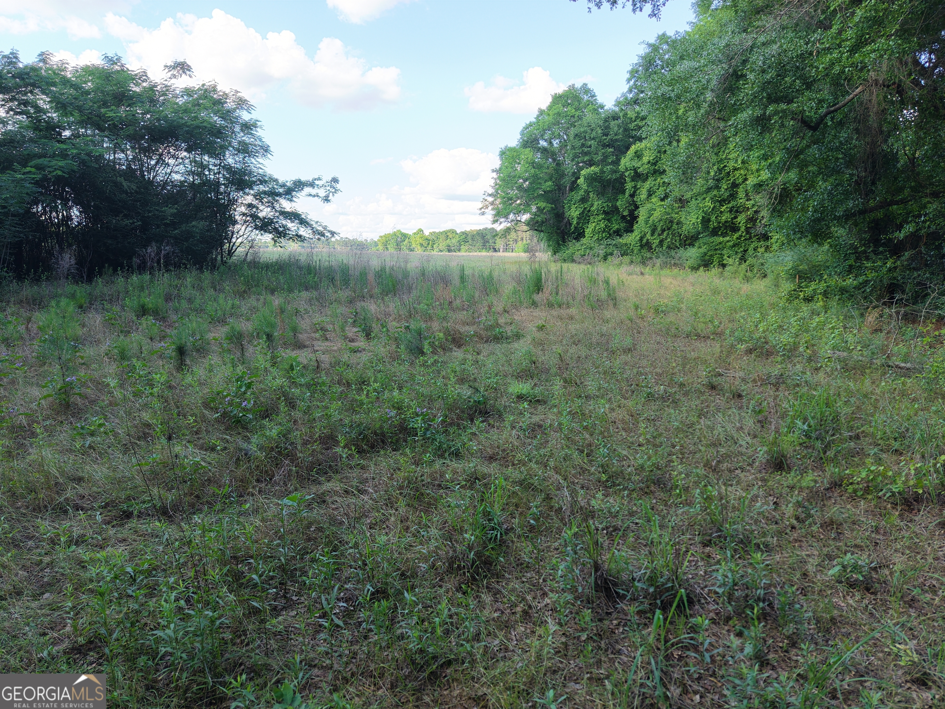 0 W Bluffton Road Bluffton GA 39824