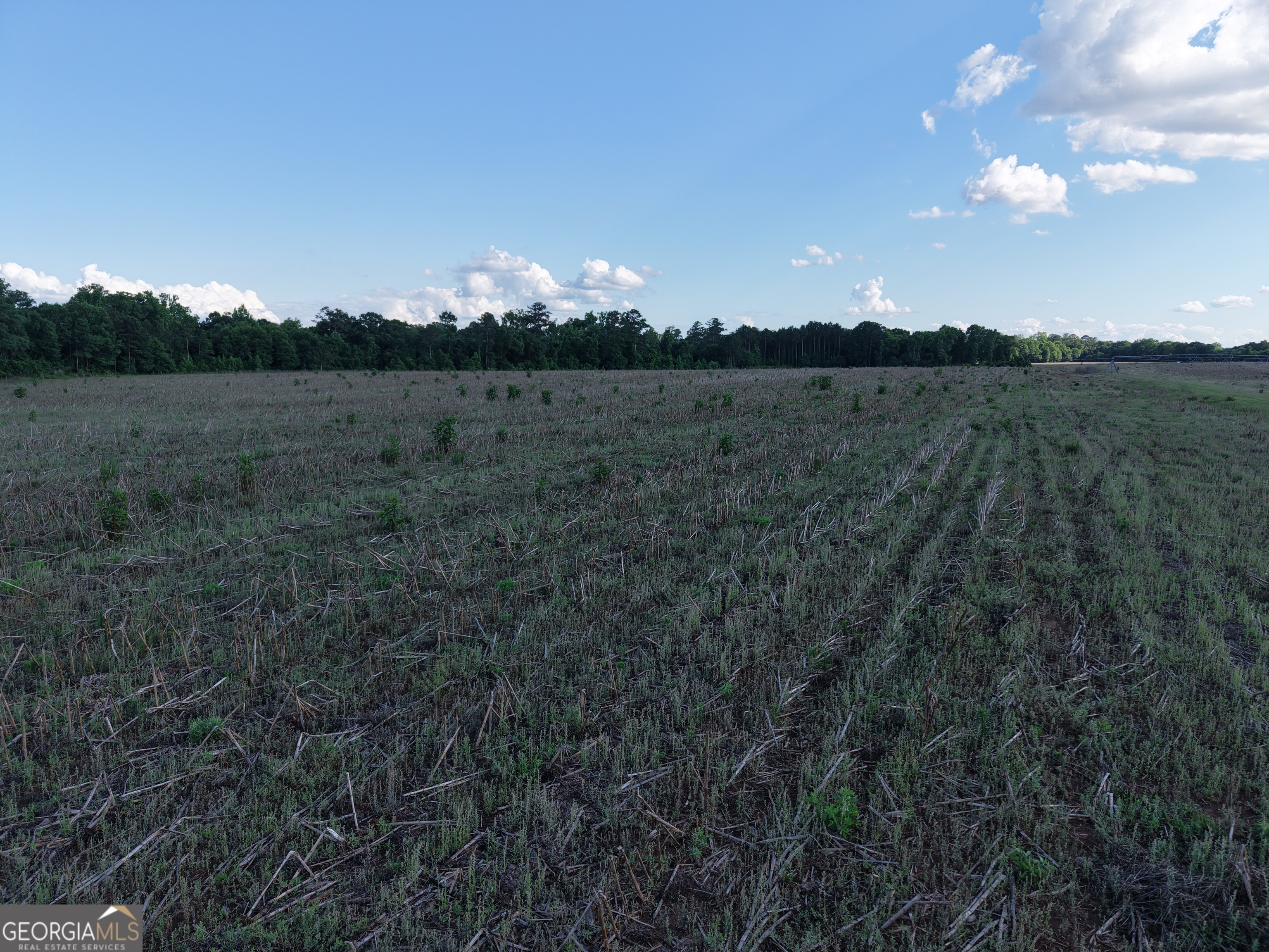 0 W Bluffton Road Bluffton GA 39824