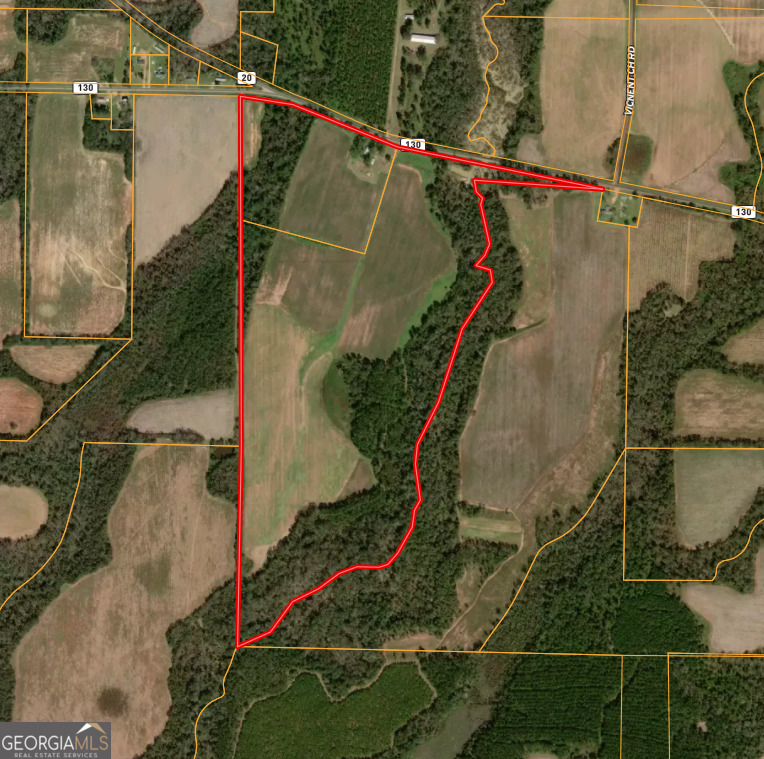 0 W Bluffton Road Bluffton GA 39824