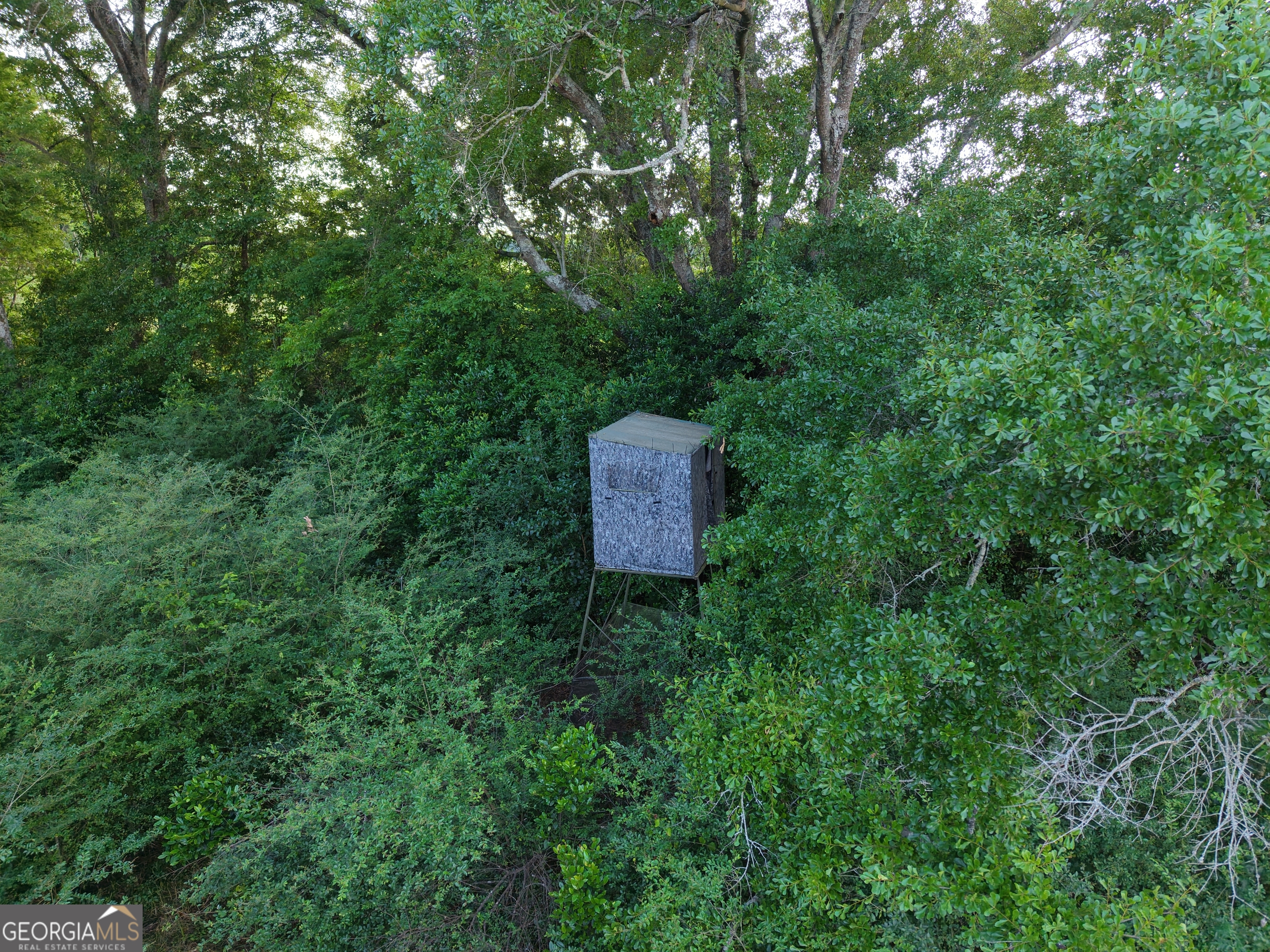 0 W Bluffton Road Bluffton GA 39824