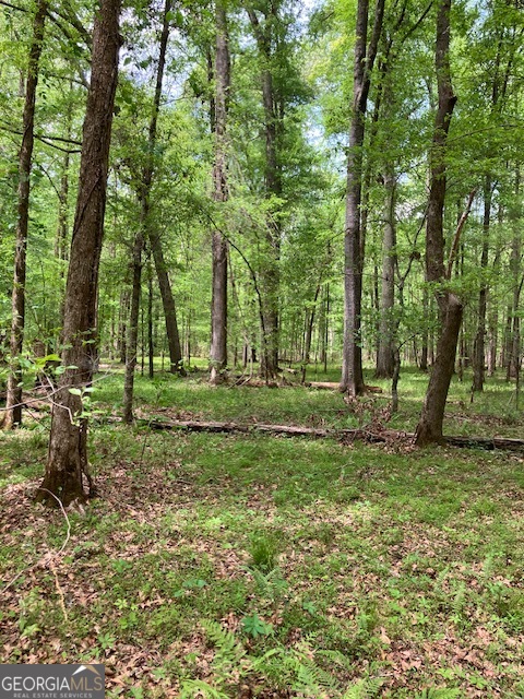 310 Philomath Woodville Road Rayle GA 30660