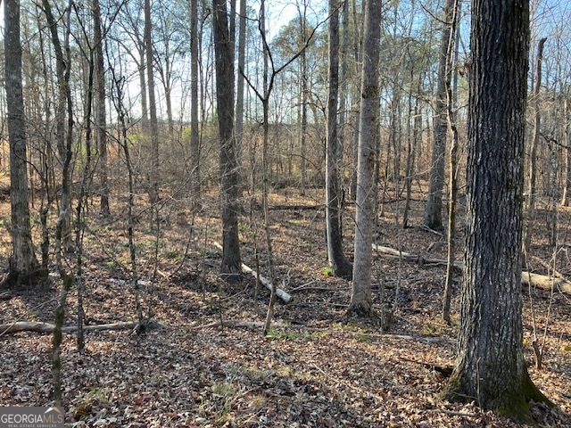 310 Philomath Woodville Road Rayle GA 30660